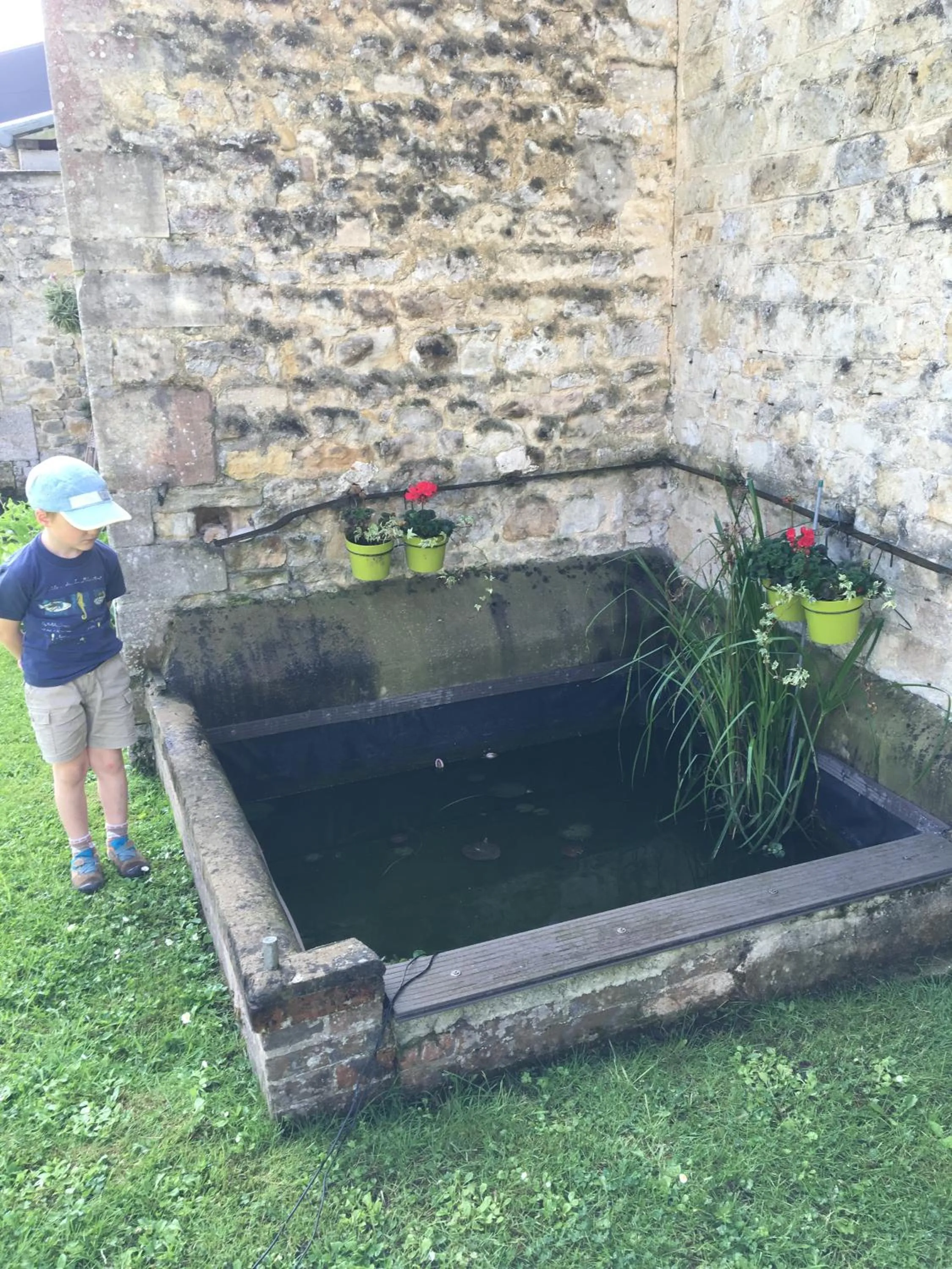 Garden in La Pomme de nuit