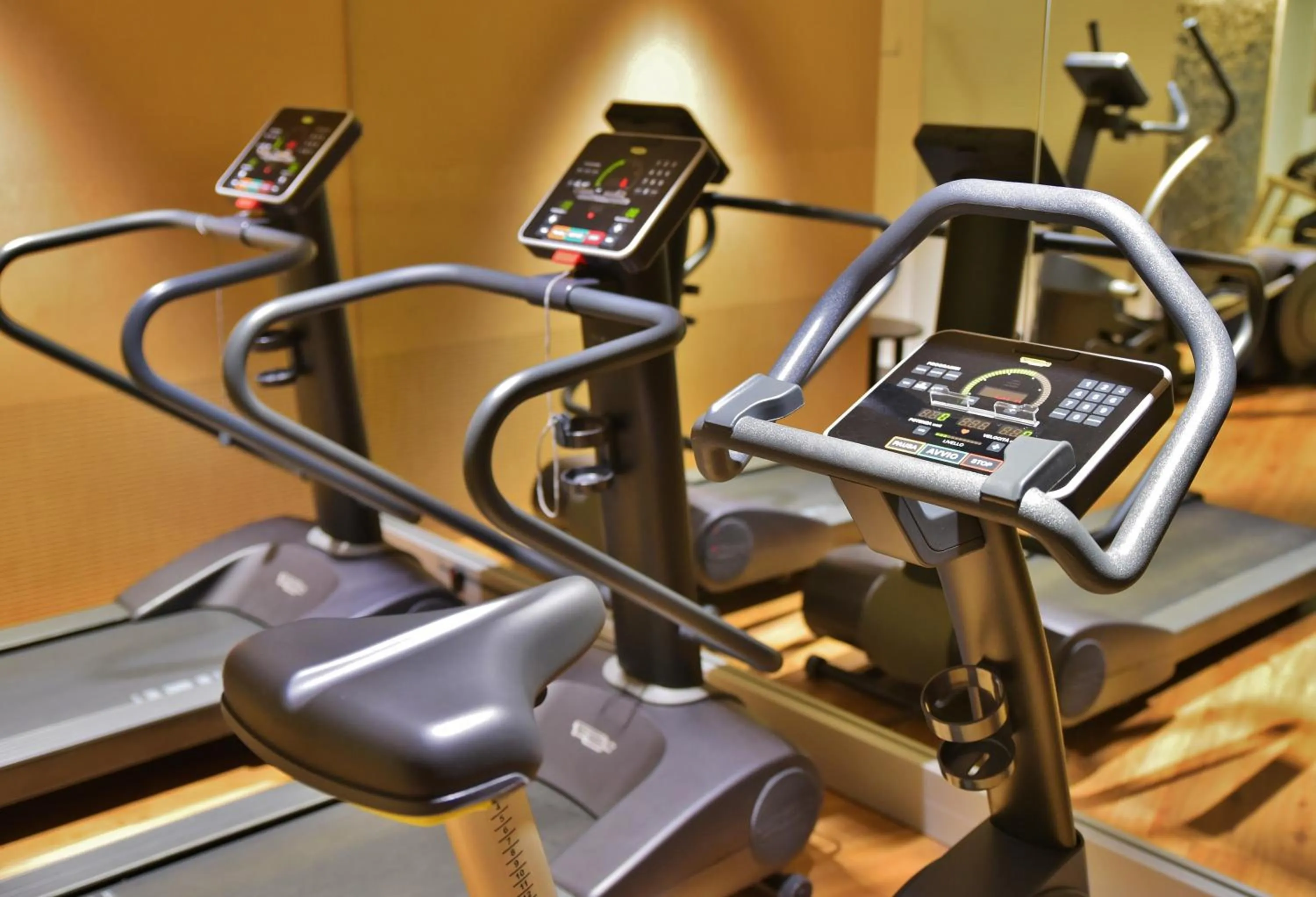 Fitness centre/facilities in Hotel Montana