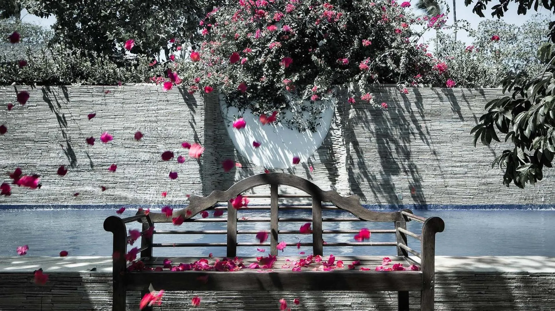 Swimming pool in My Blue Hotel
