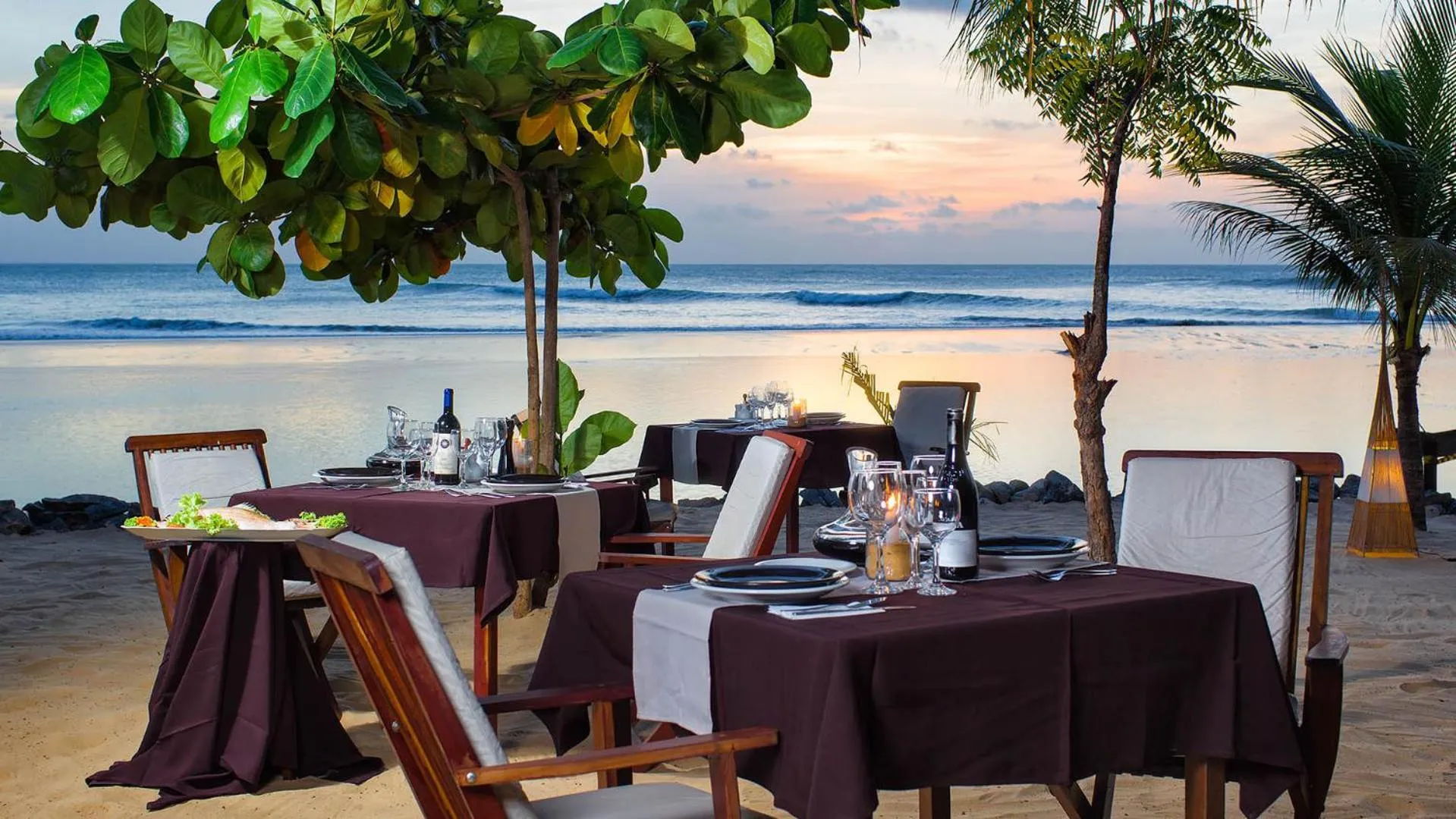 Restaurant/places to eat in My Blue Hotel