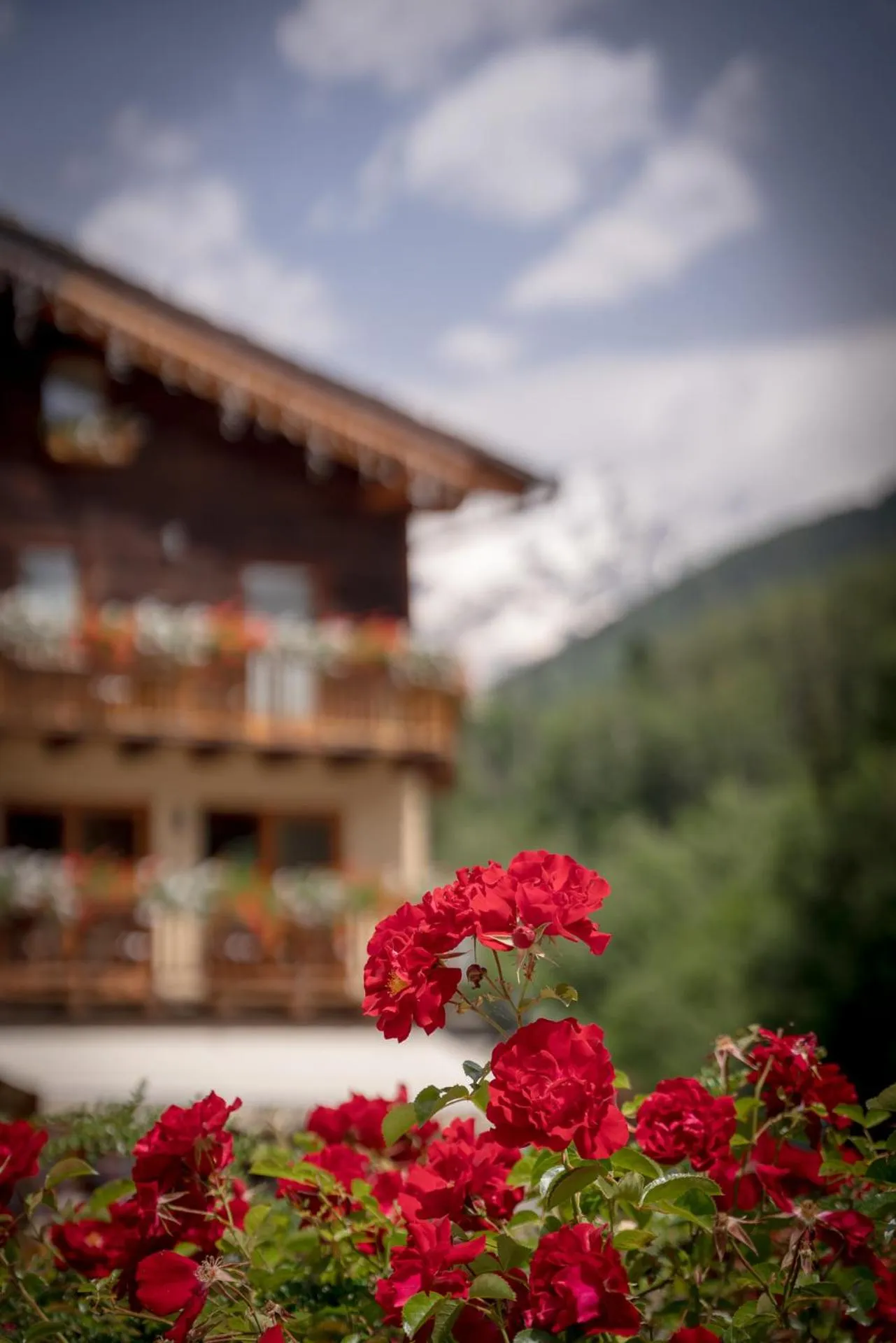 Property building in Locanda Bellevue