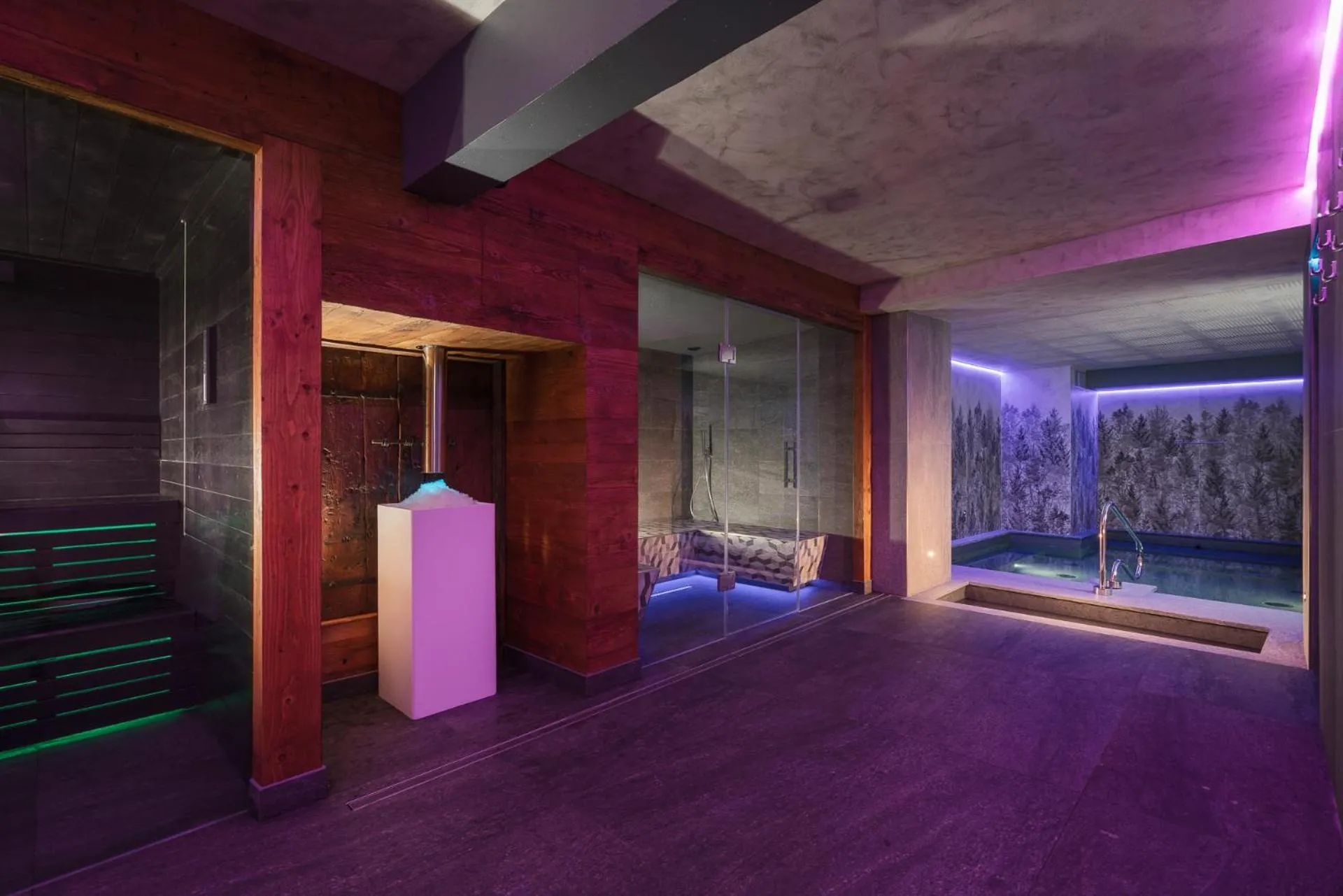 Sauna in Locanda Bellevue