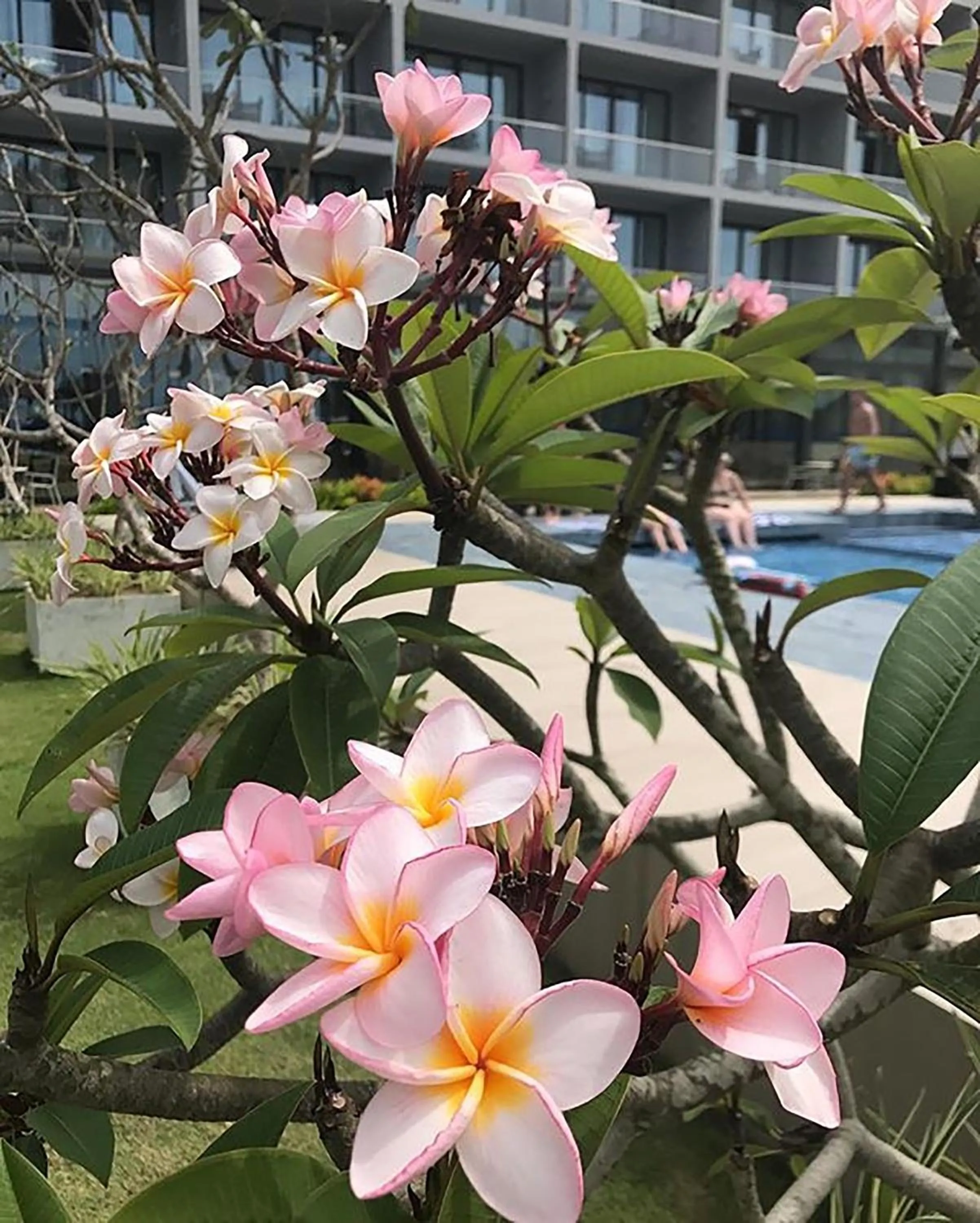 Club Waskaduwa Beach Resort & Spa