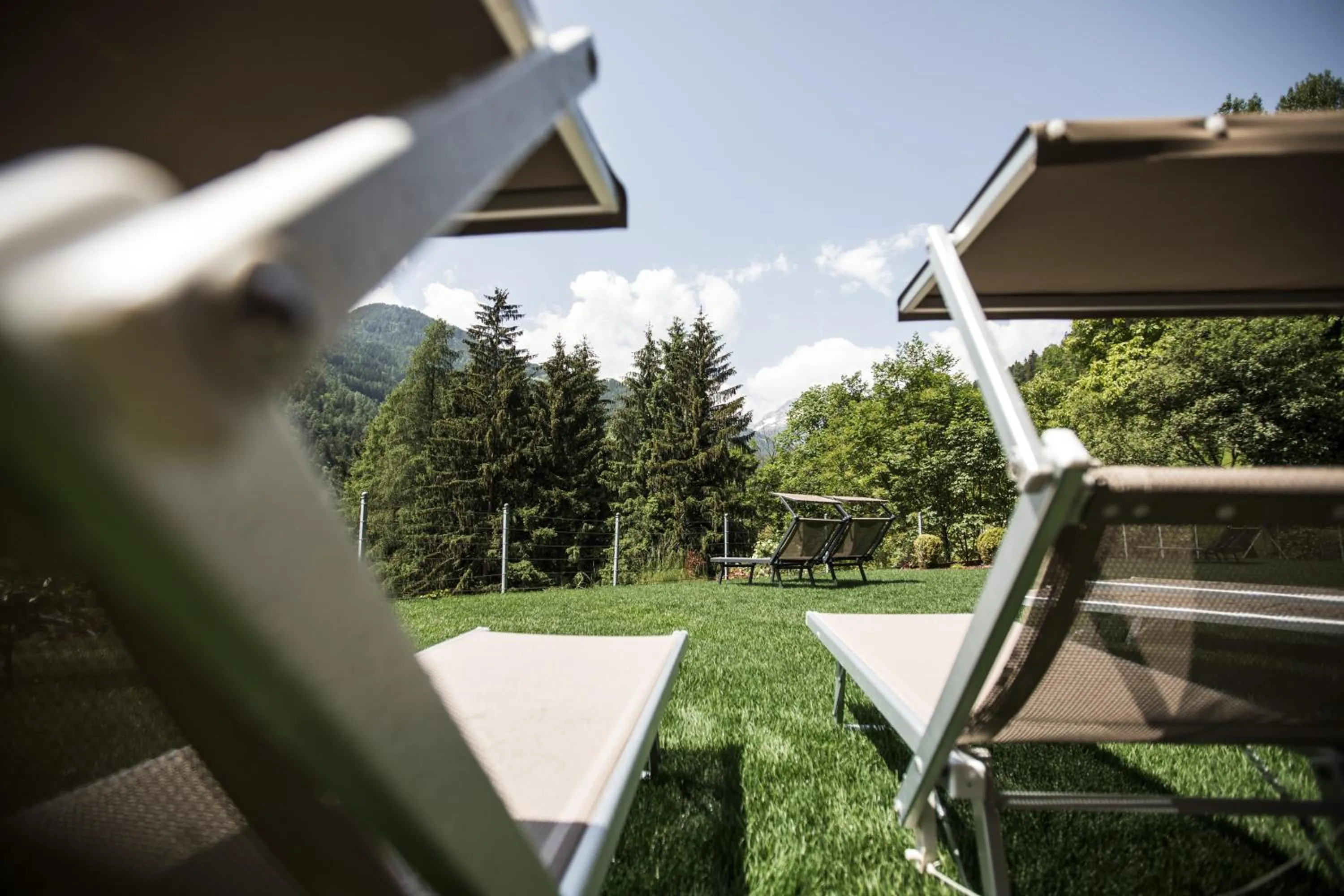 Garden in Hotel Bad Fallenbach