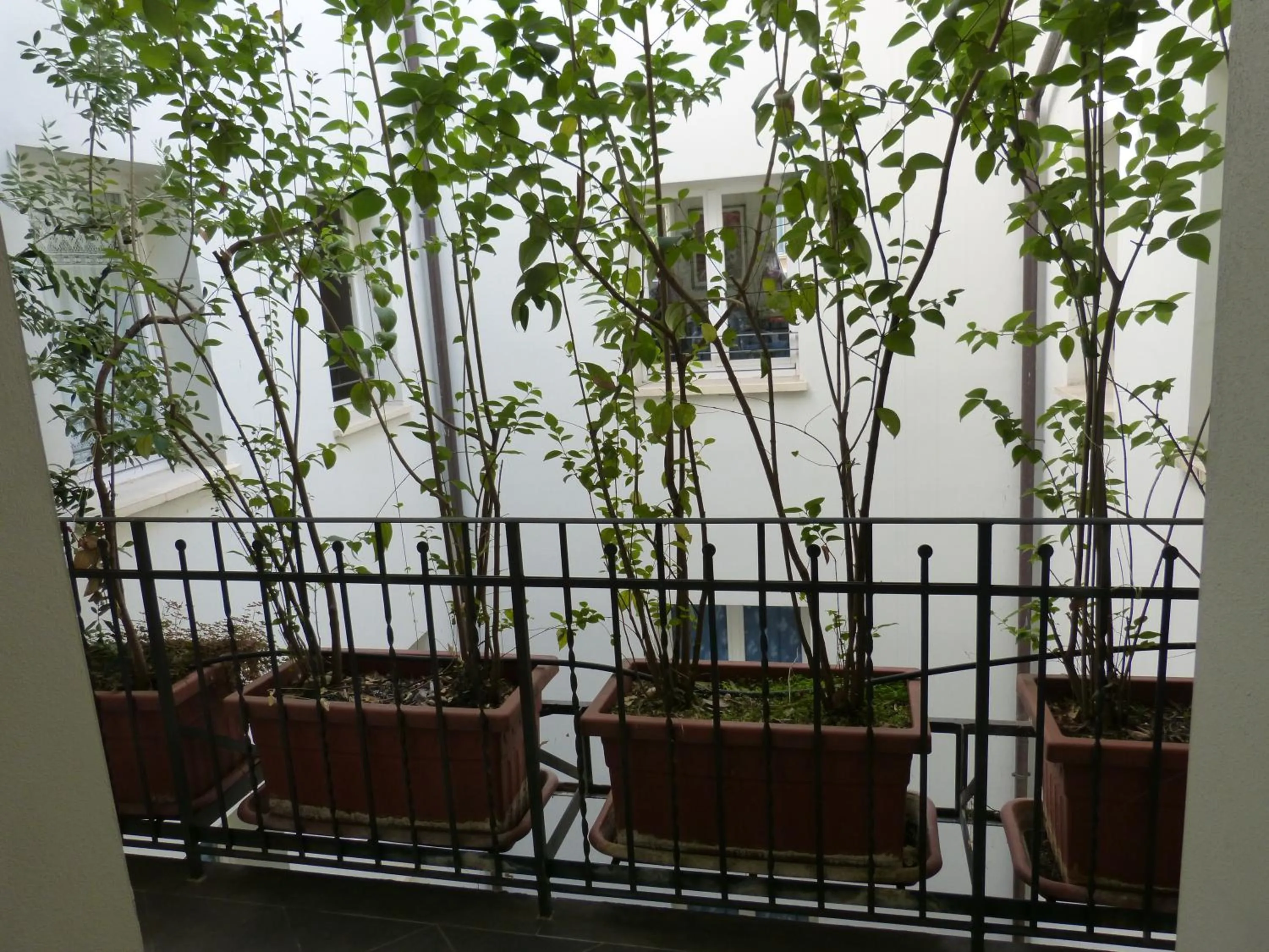 Other in Residenza Piazza Santo Stefano