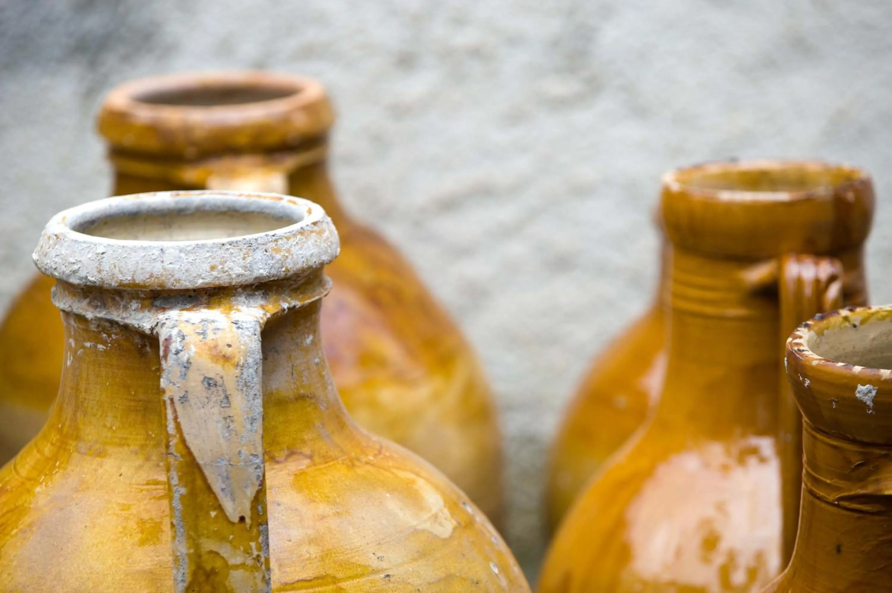 Area and facilities in Le Alcove - Luxury Hotel nei Trulli