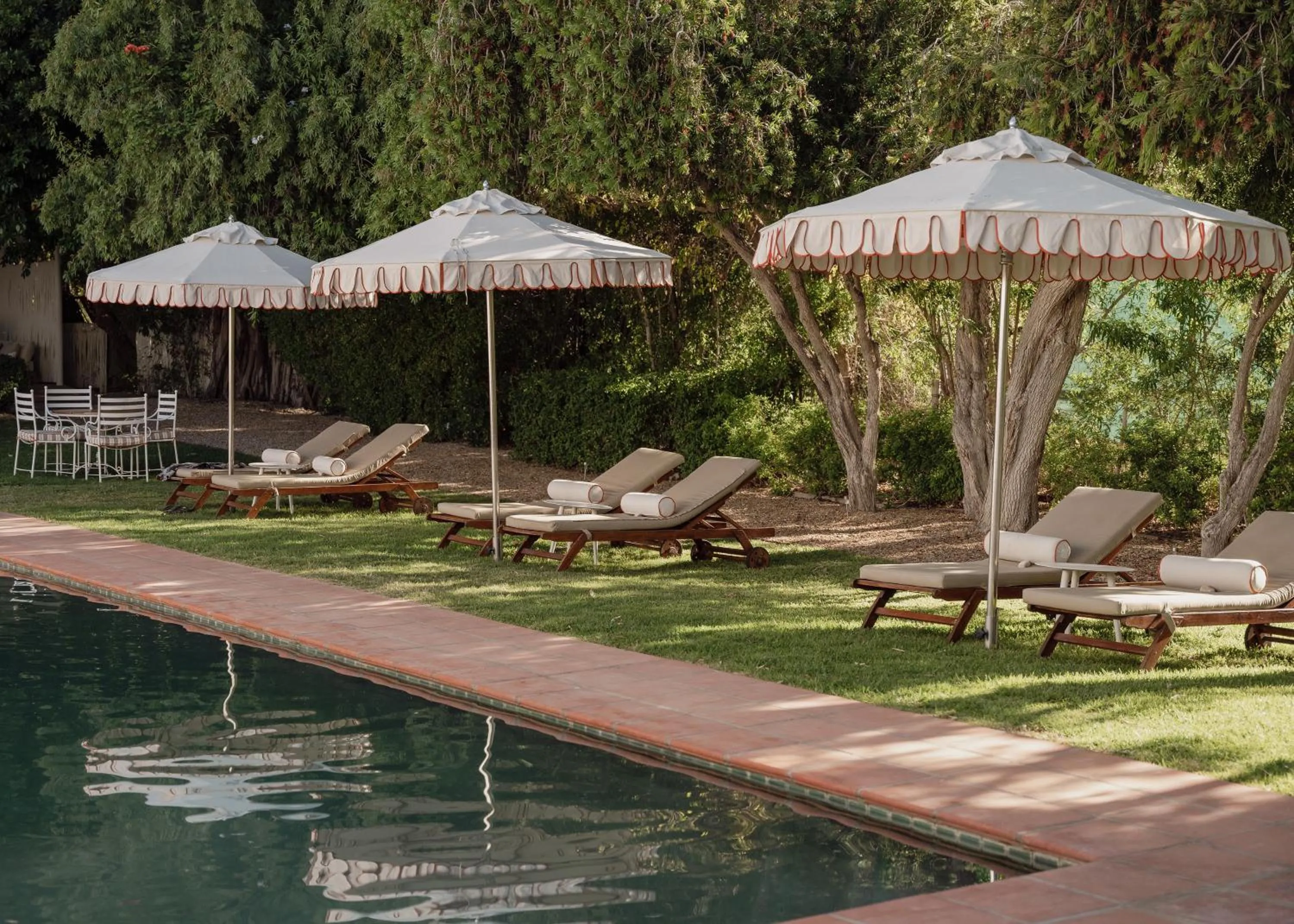 Swimming pool in De Bergkant