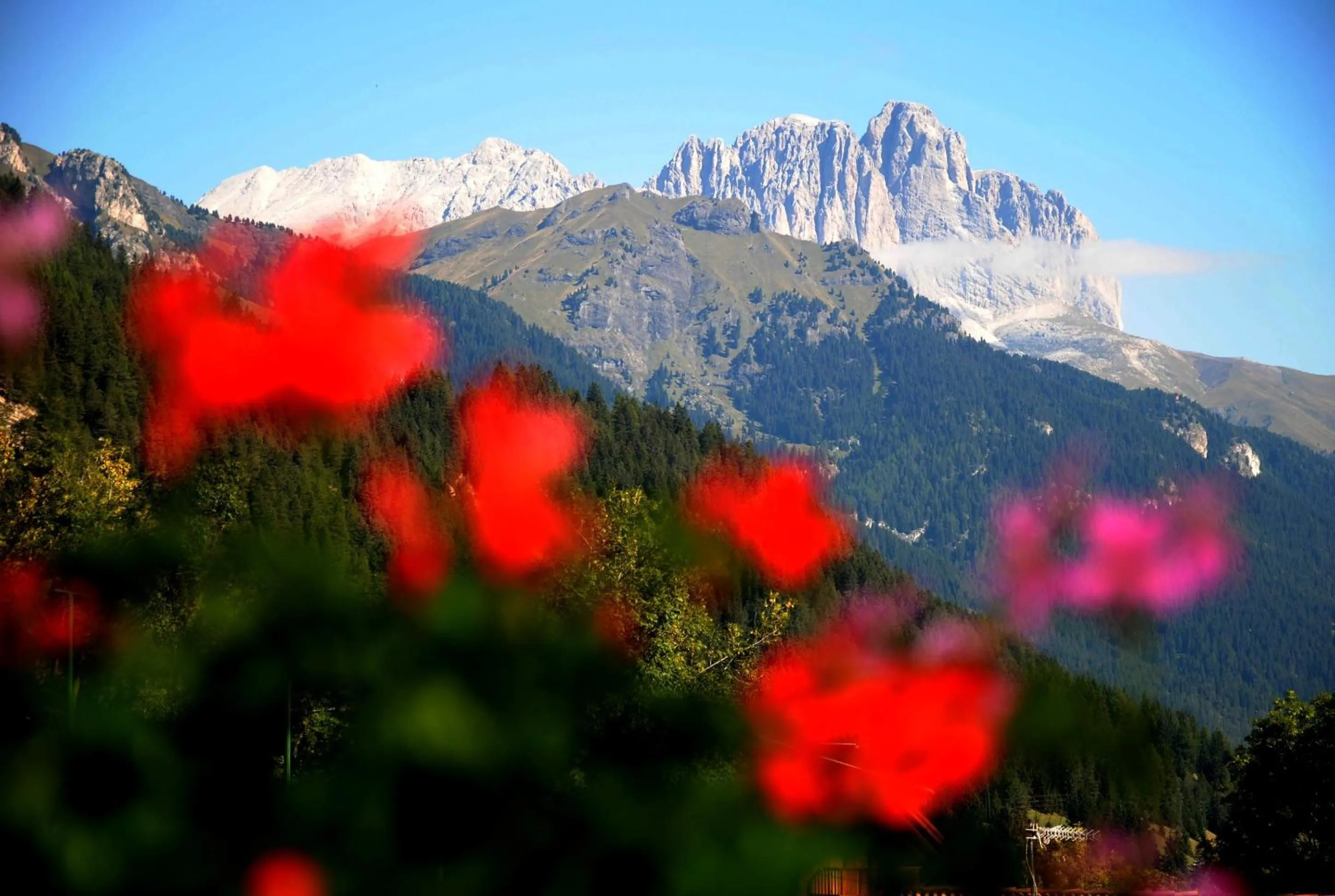 Other in Dolasilla Park Hotel