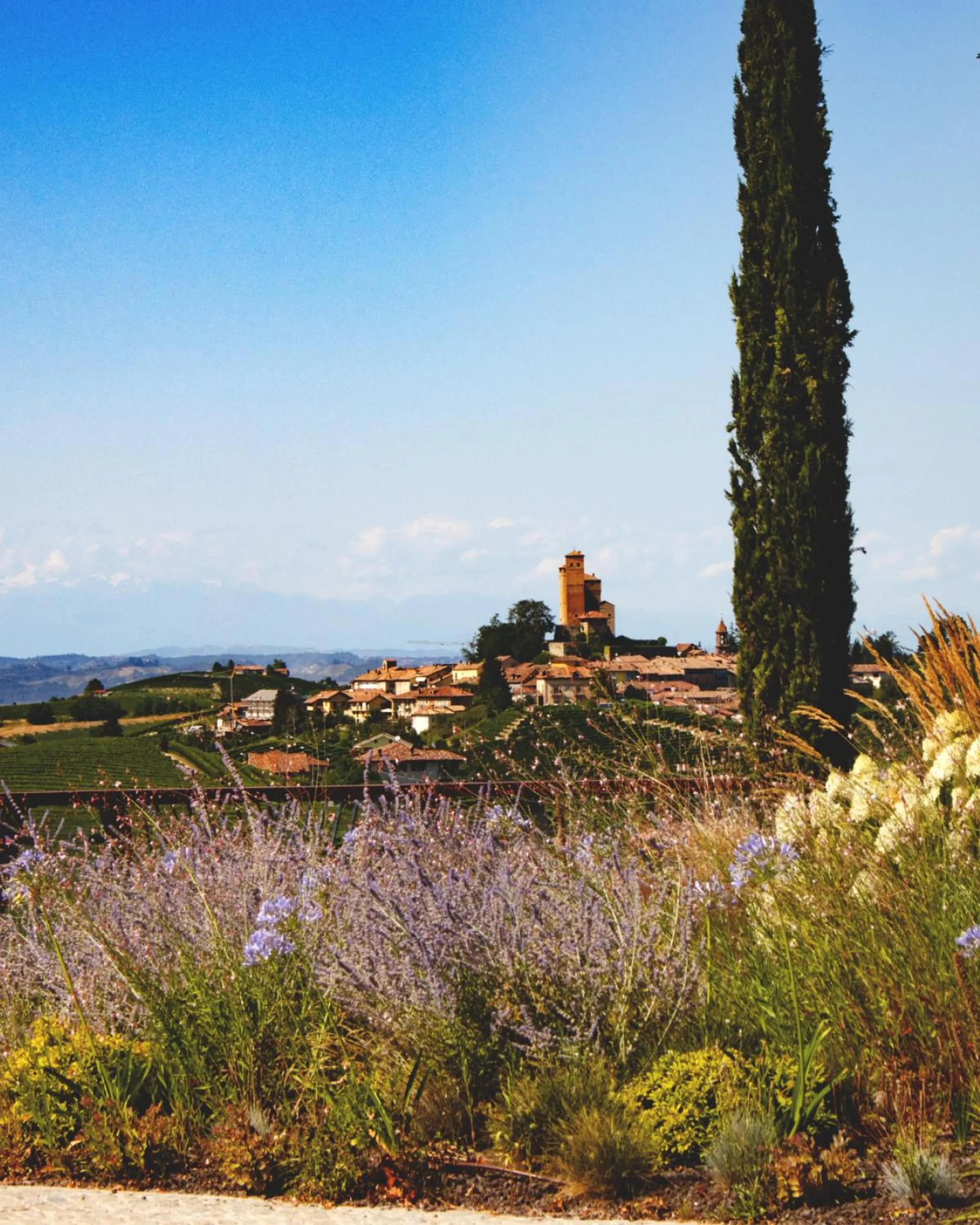 Garden in Il Boscareto Resort & Spa