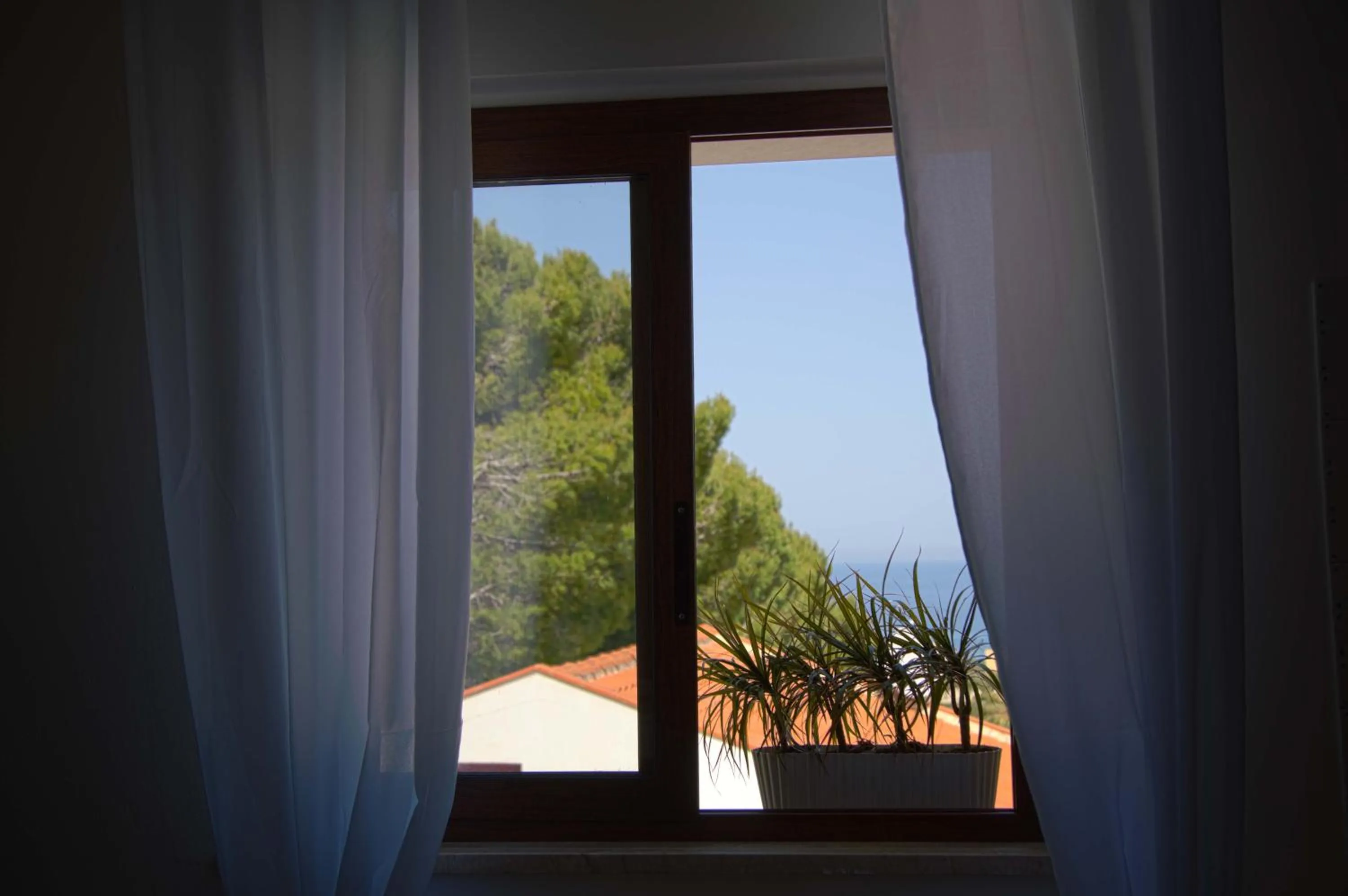 Day in Residence Guidaloca