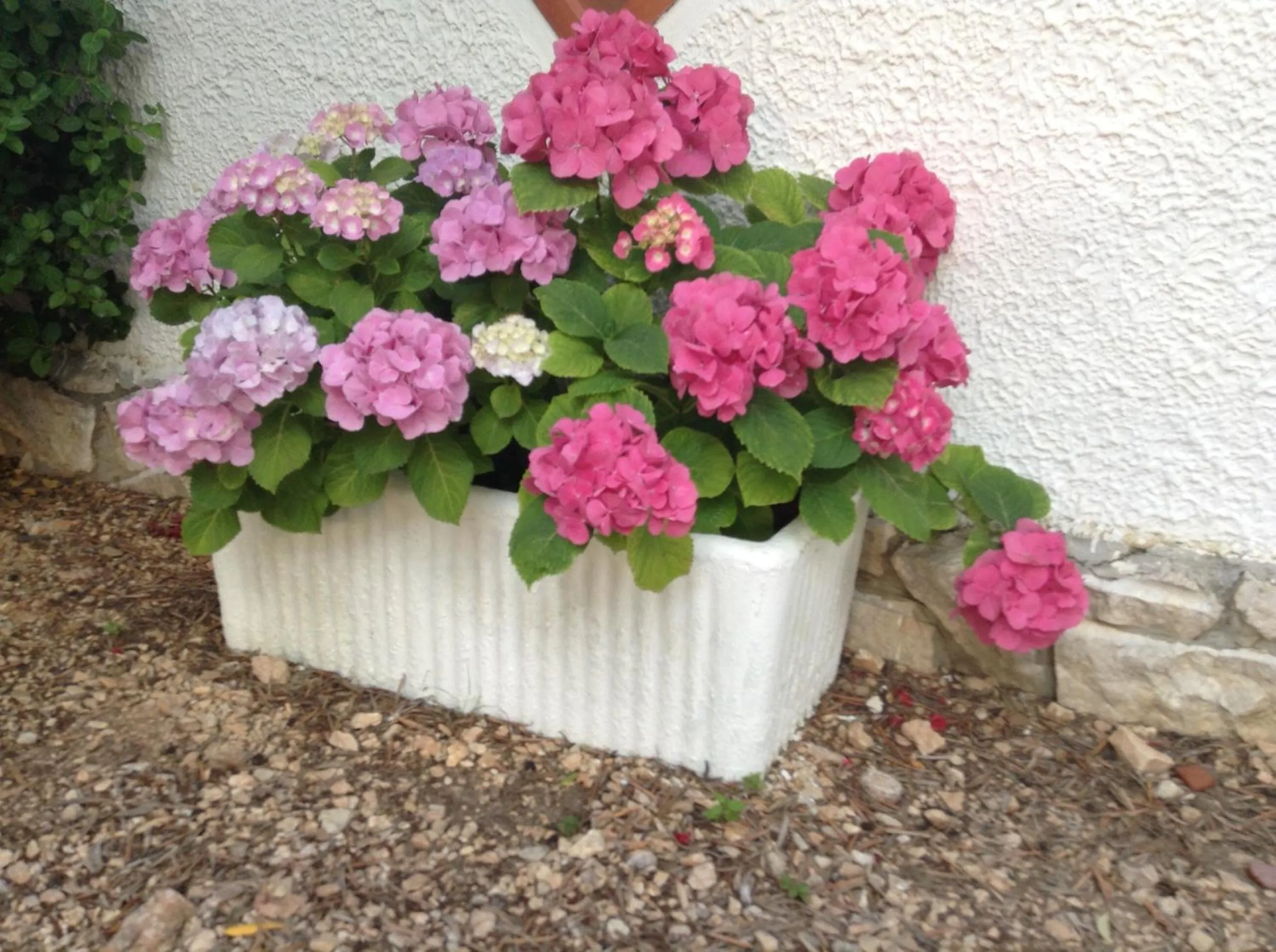 Other in Residence Guidaloca