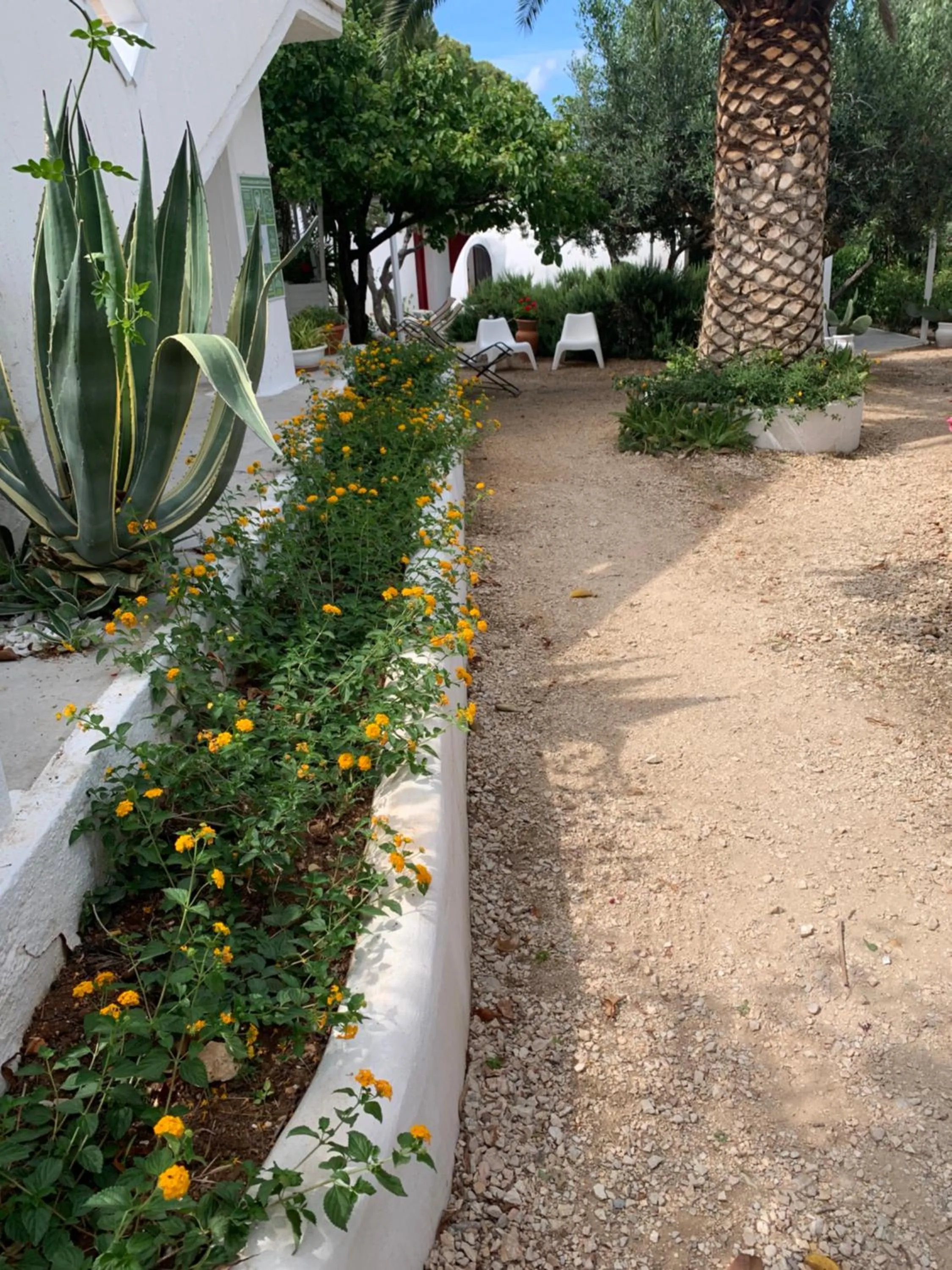 Garden in Residence Guidaloca