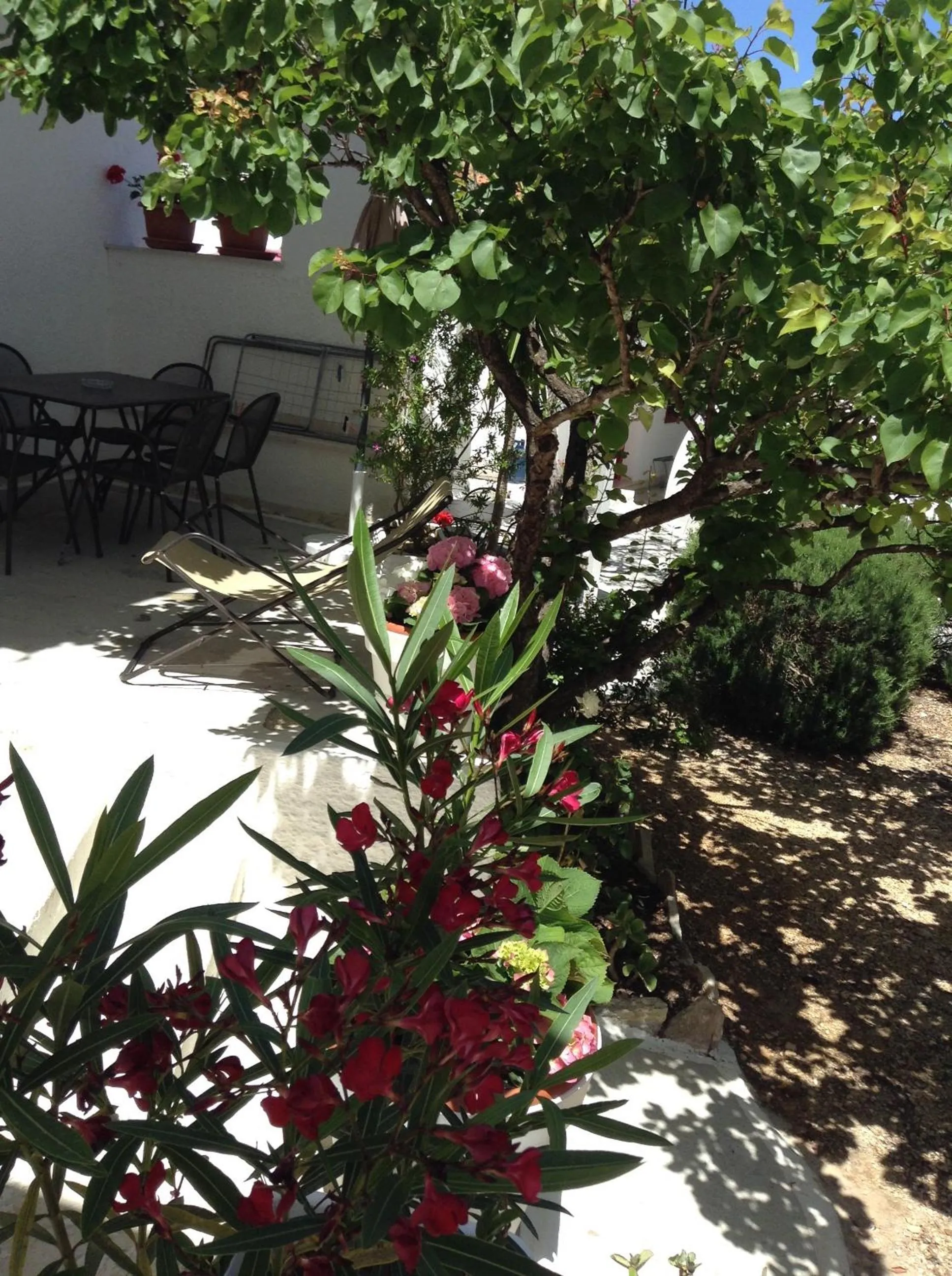 Patio in Residence Guidaloca