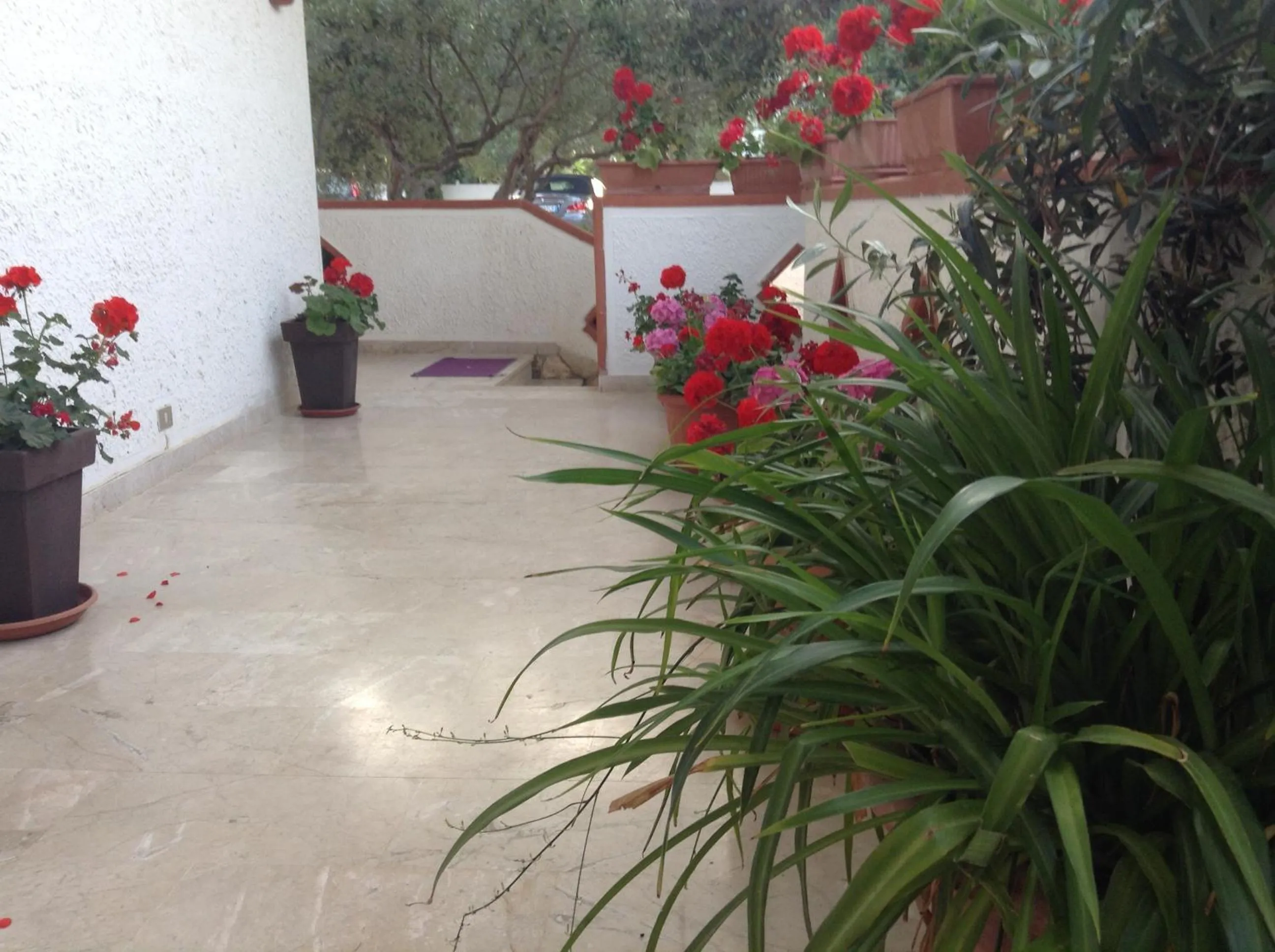 Other in Residence Guidaloca