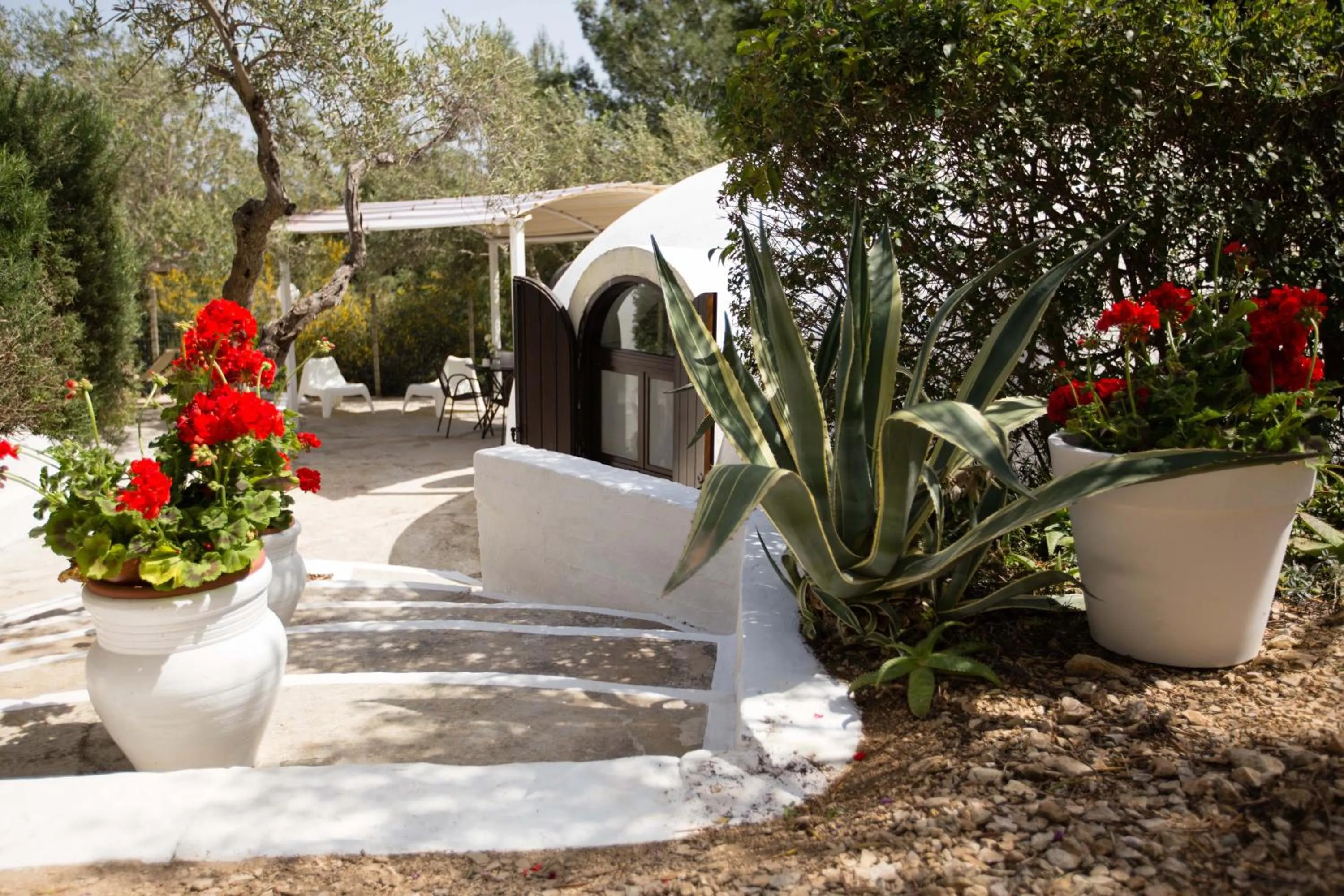 Day in Residence Guidaloca