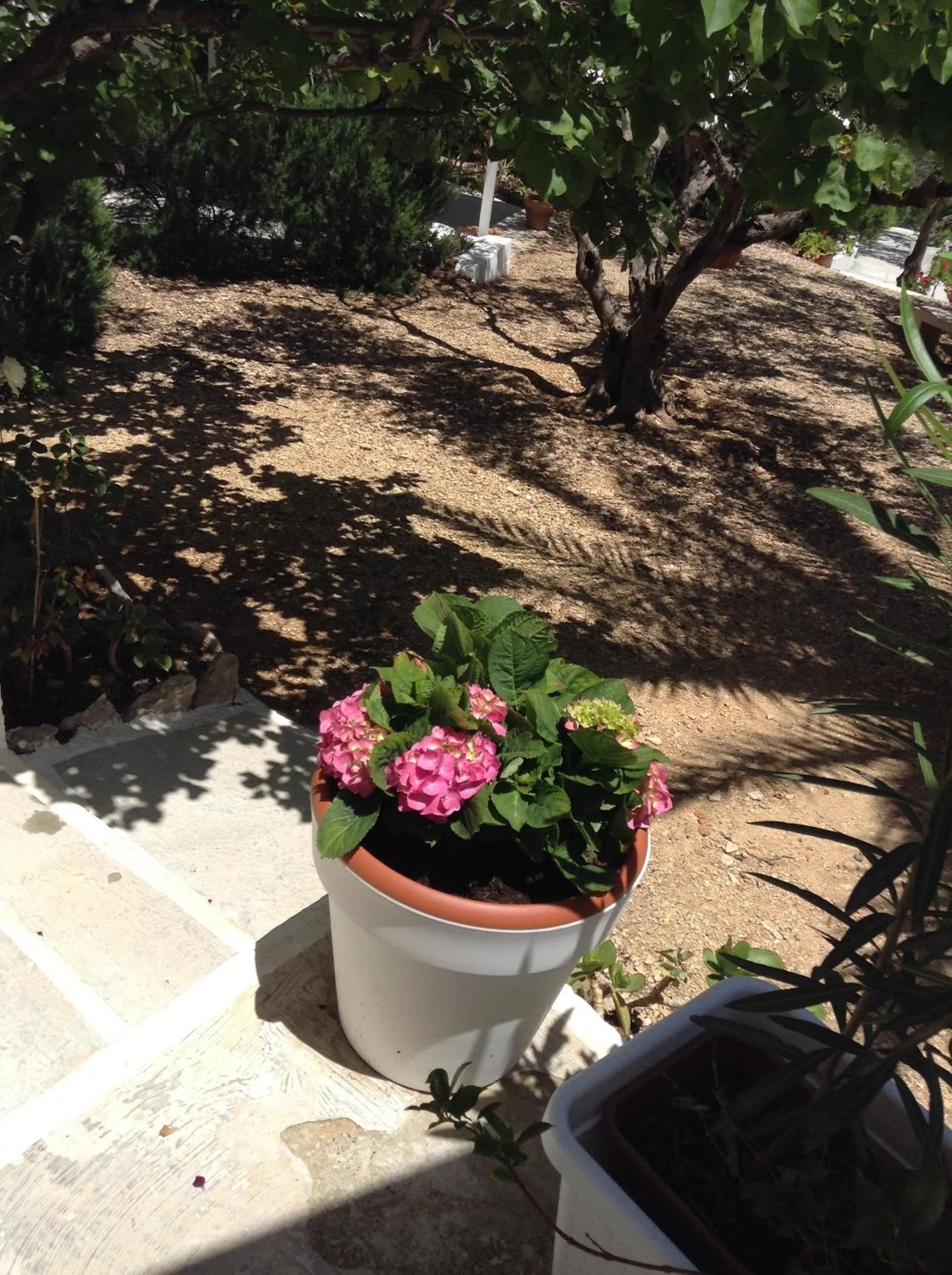 Day in Residence Guidaloca