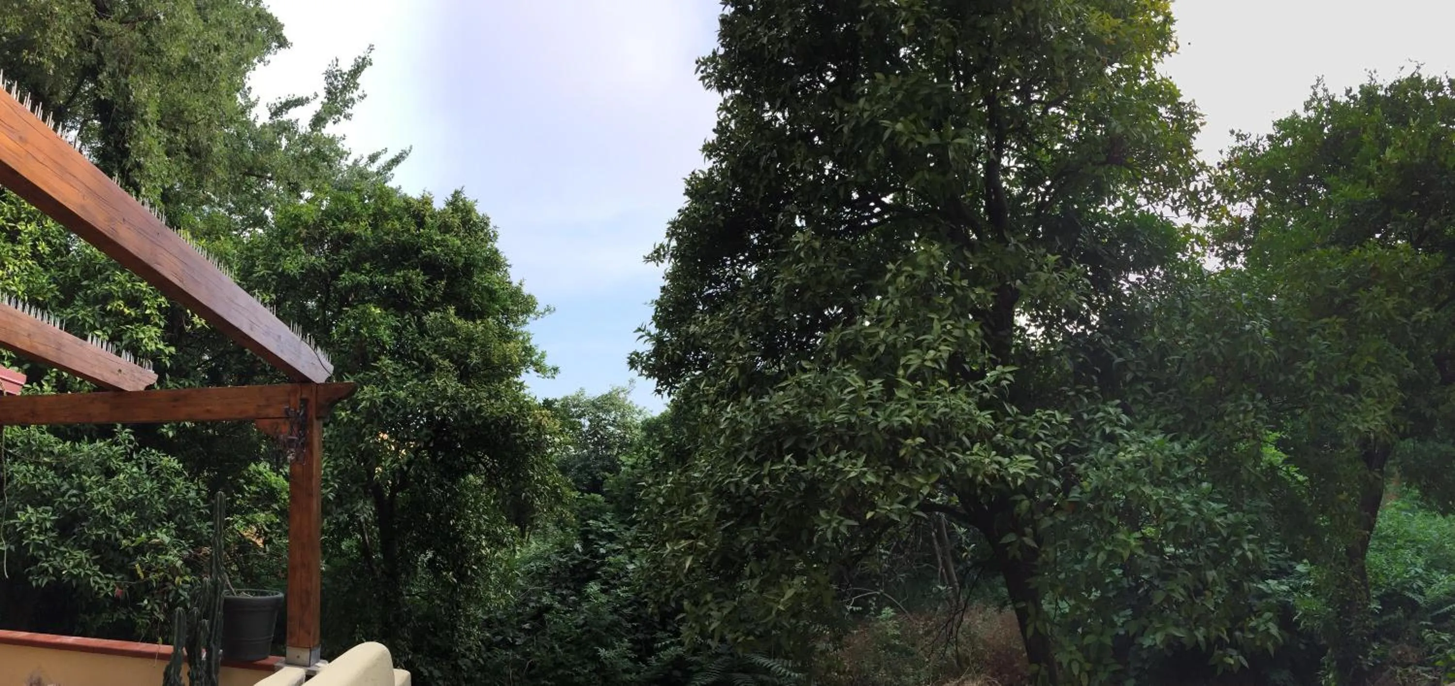 Patio in Alla Corte del Re Dimora Storica