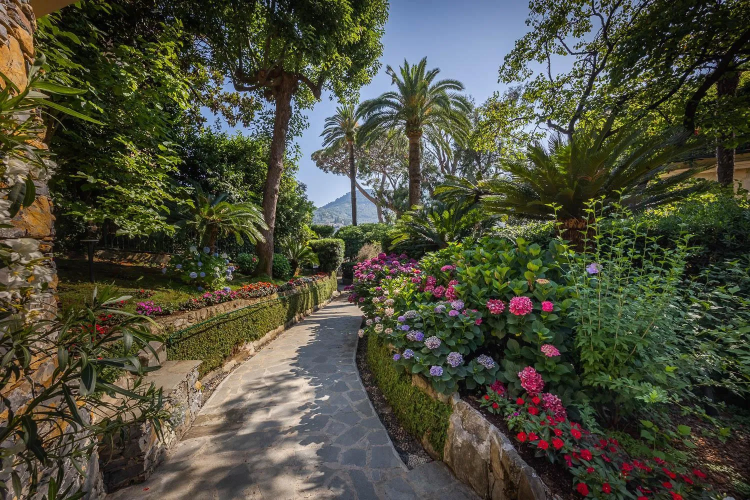 Garden in Hotel Metropole