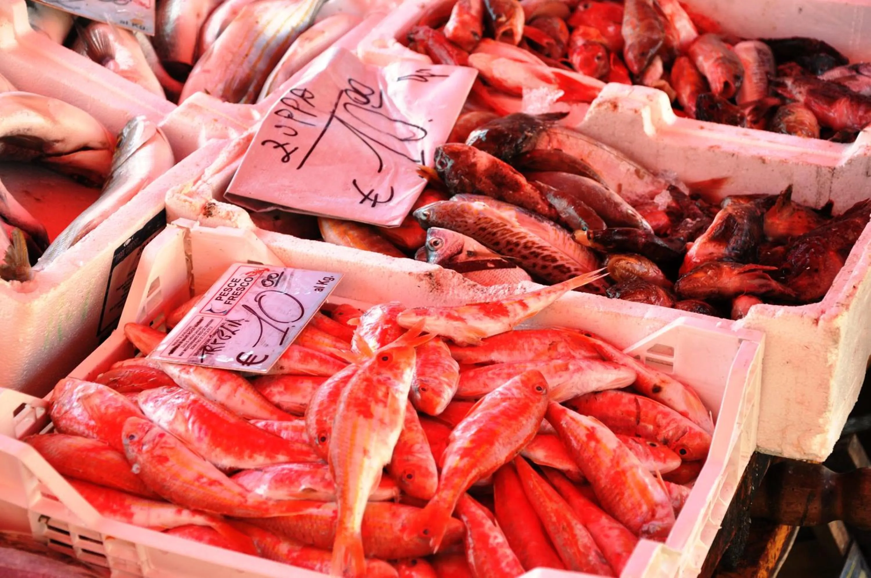 Natural landscape in B&B MaryJosè