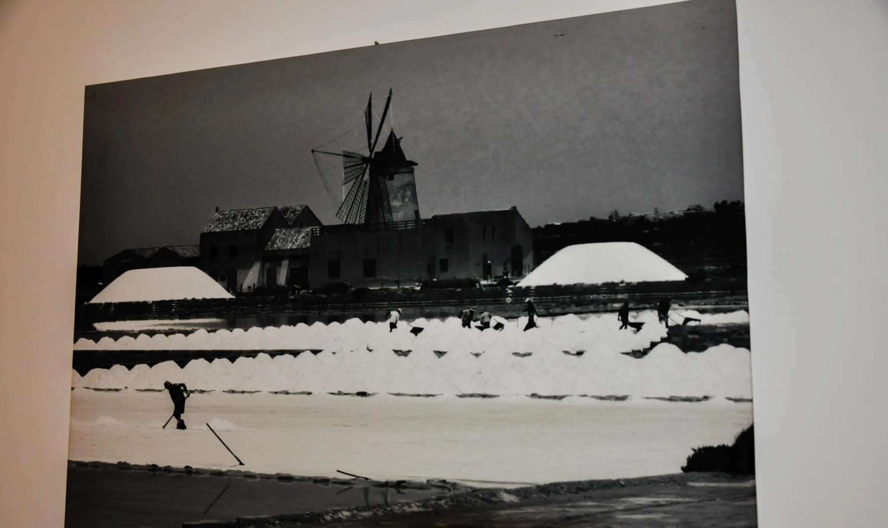 Natural landscape in B&B MaryJosè