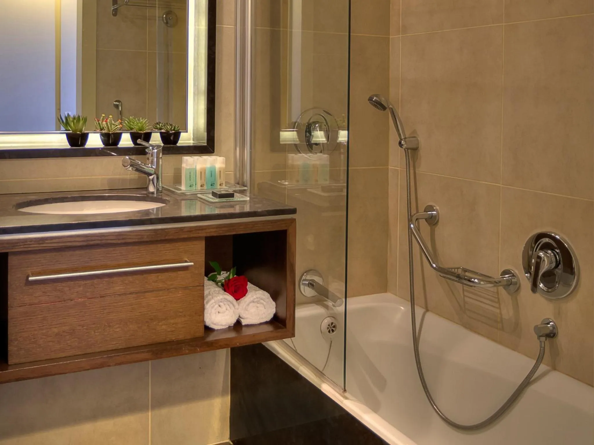 Shower in Dan Jerusalem Hotel