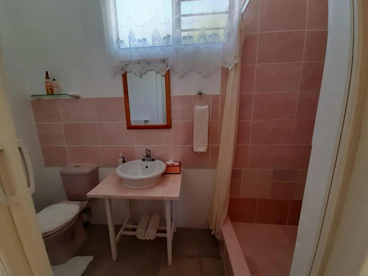 Bathroom in Au Plais De Langebaan at Palm Tree Villa