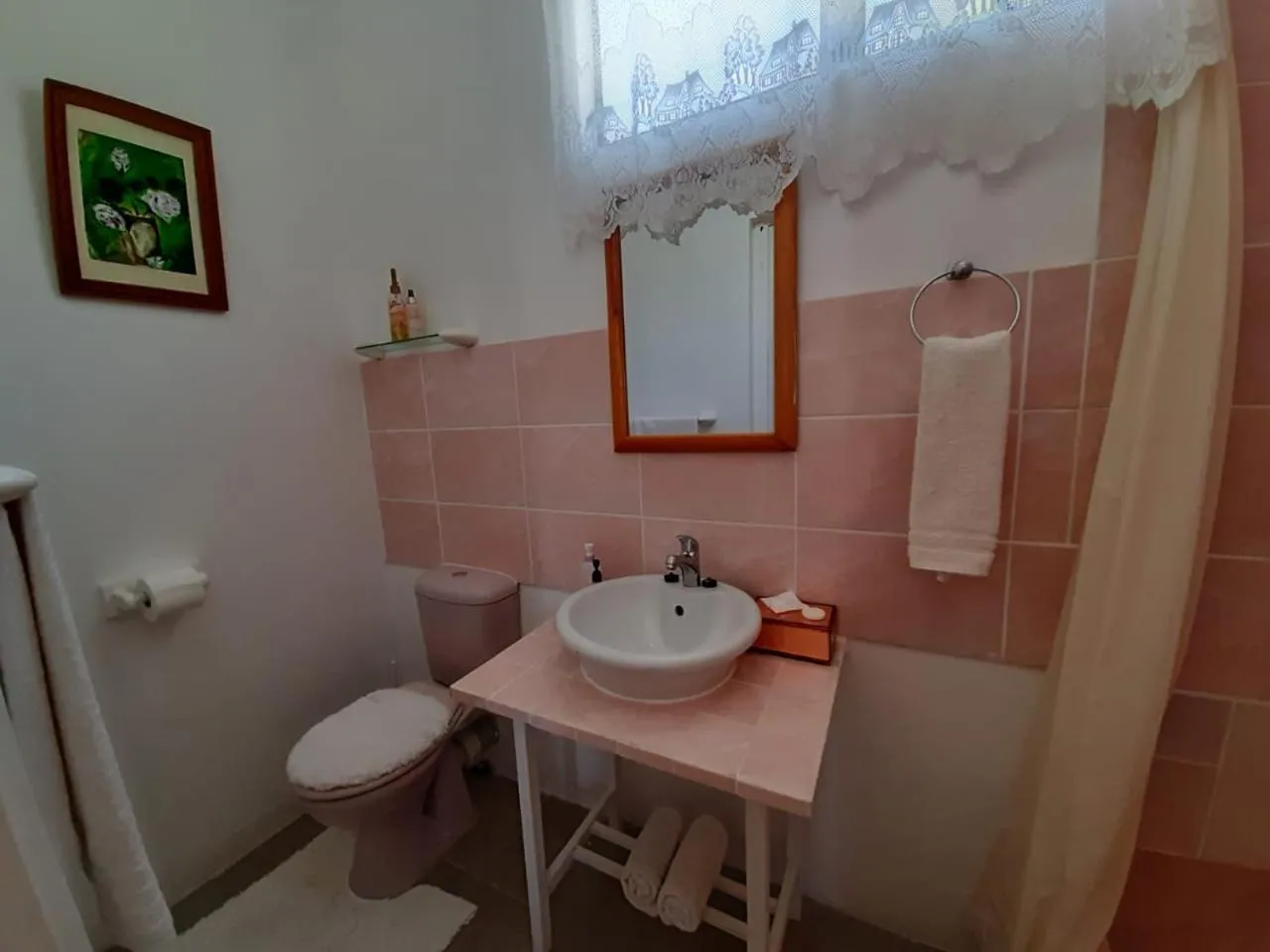 Bathroom in Au Plais De Langebaan at Palm Tree Villa