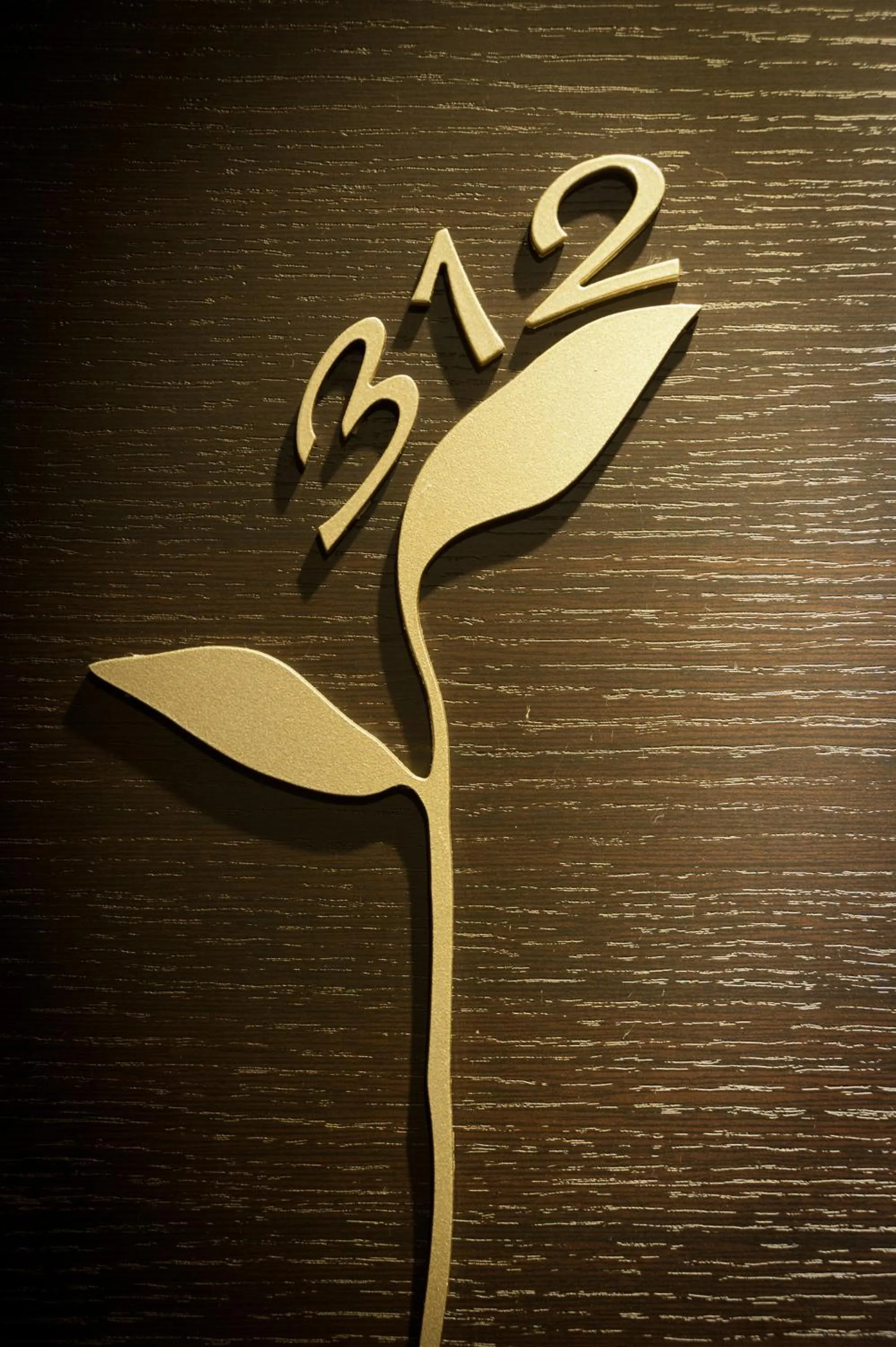 Decorative detail in Maxim Design Hotel 3 Star Superior