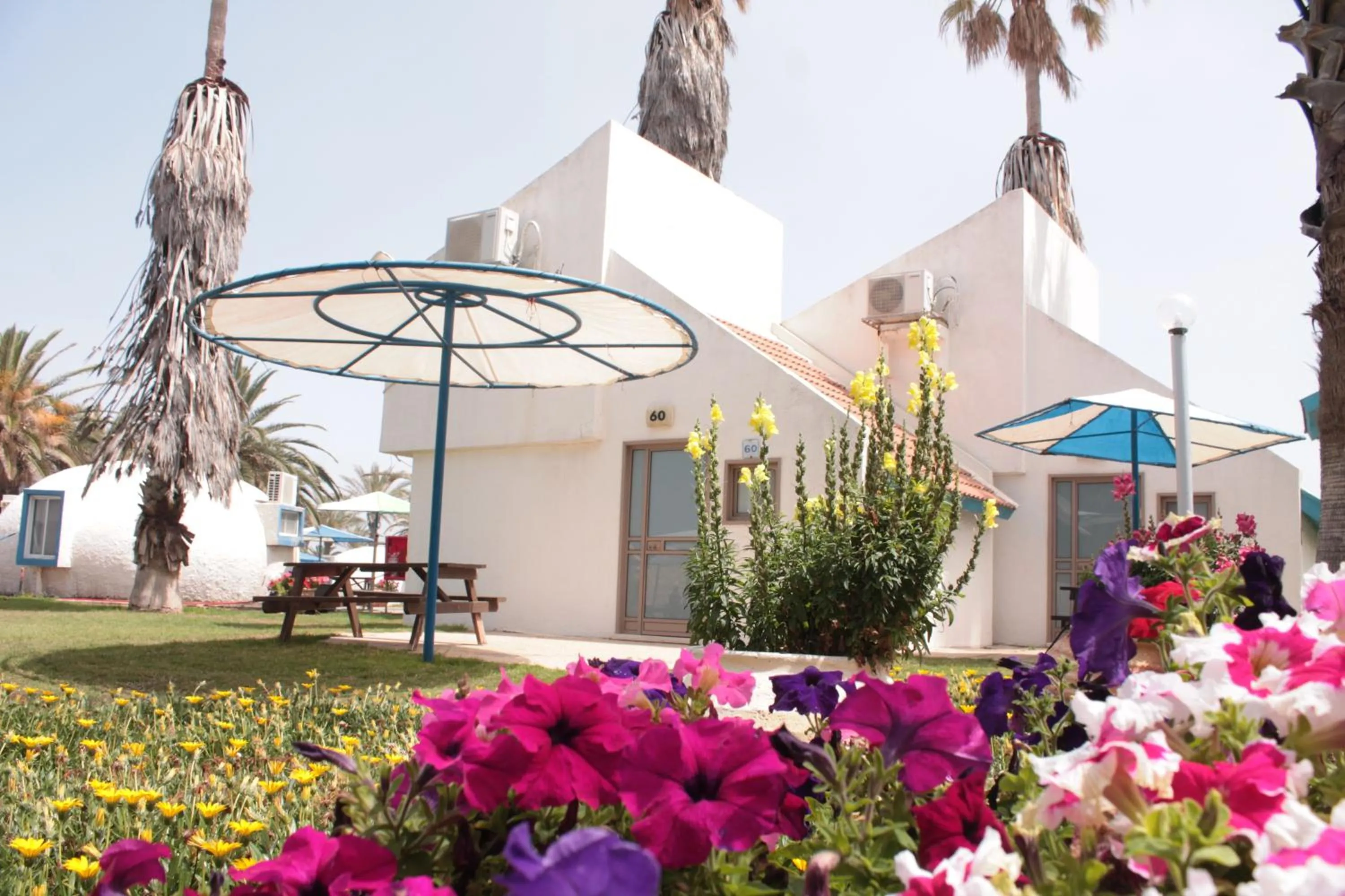 Patio in Dor Country Lodging