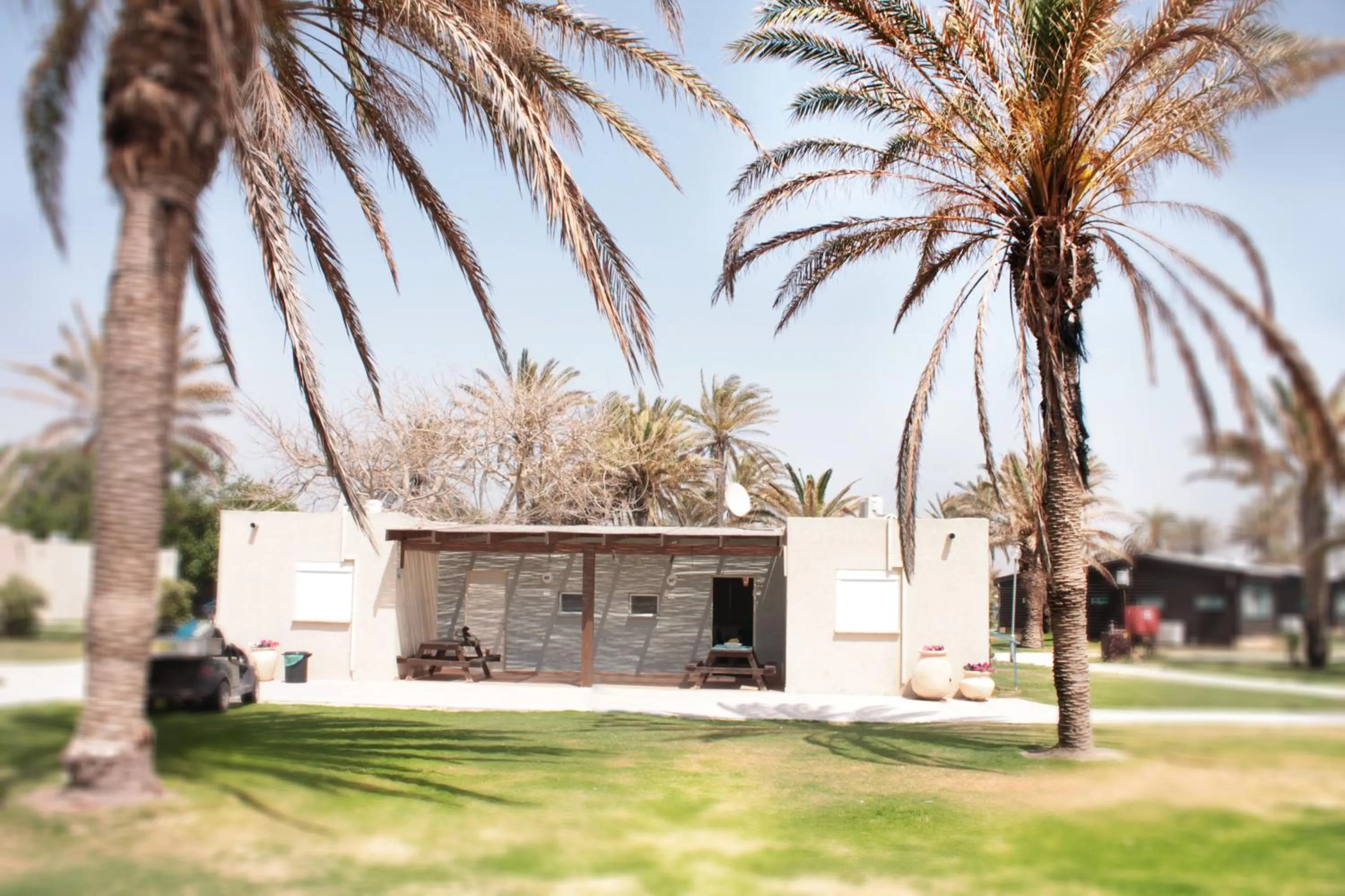 Garden in Dor Country Lodging