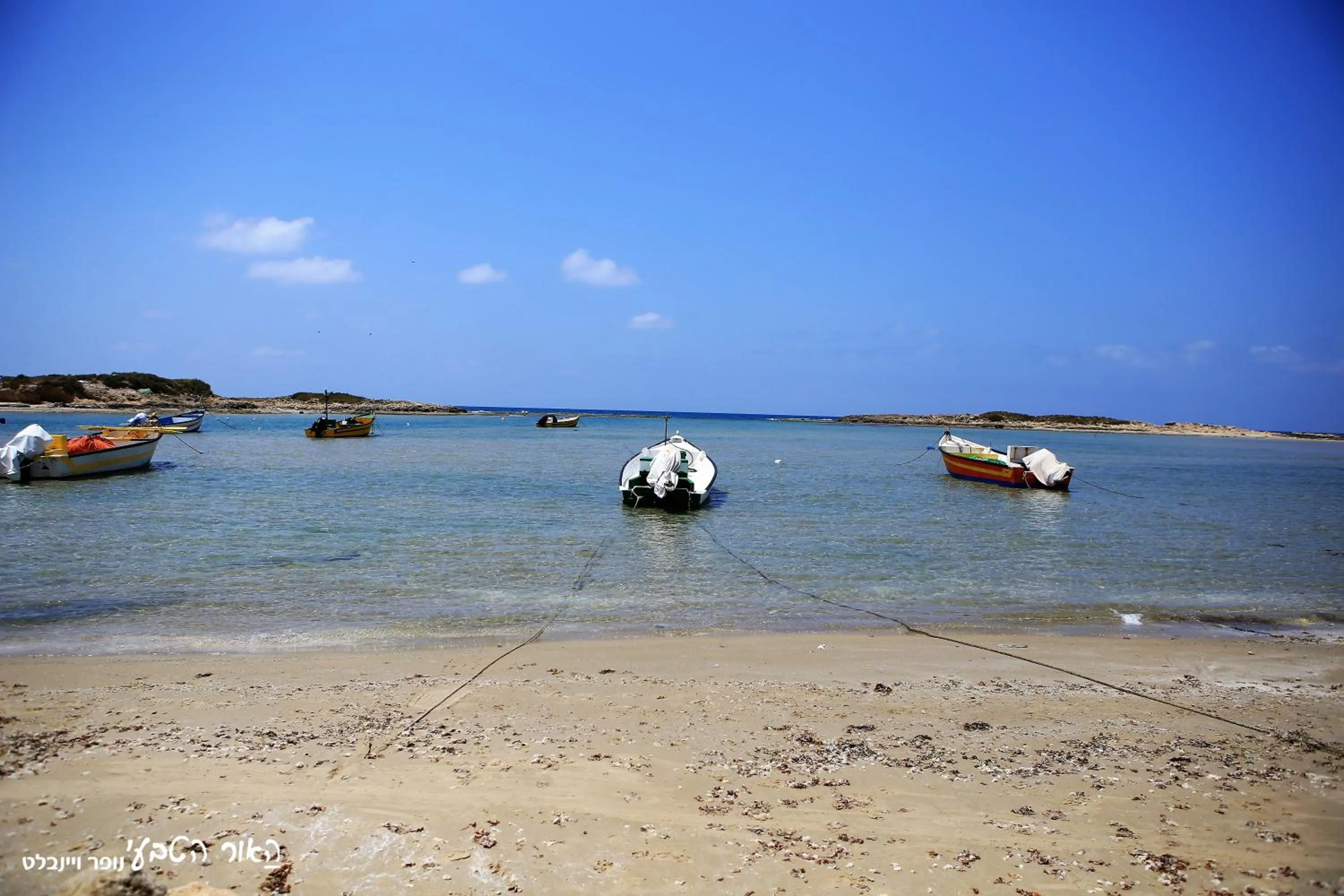 Sea view in Dor Country Lodging