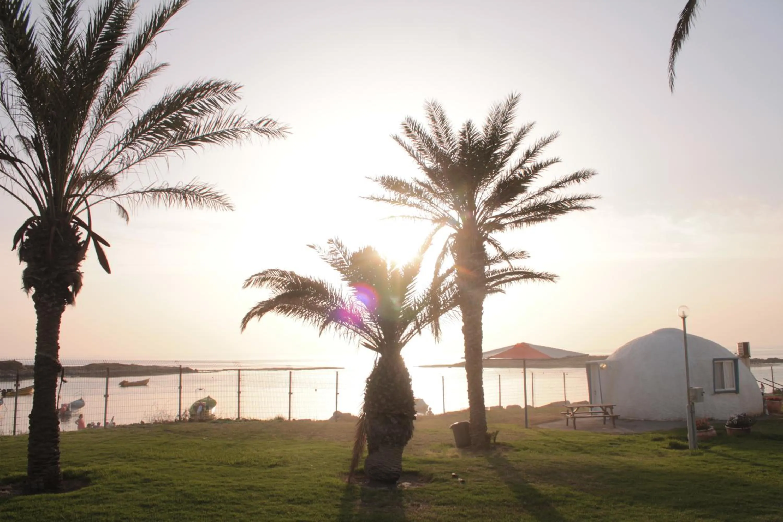 Garden in Dor Country Lodging