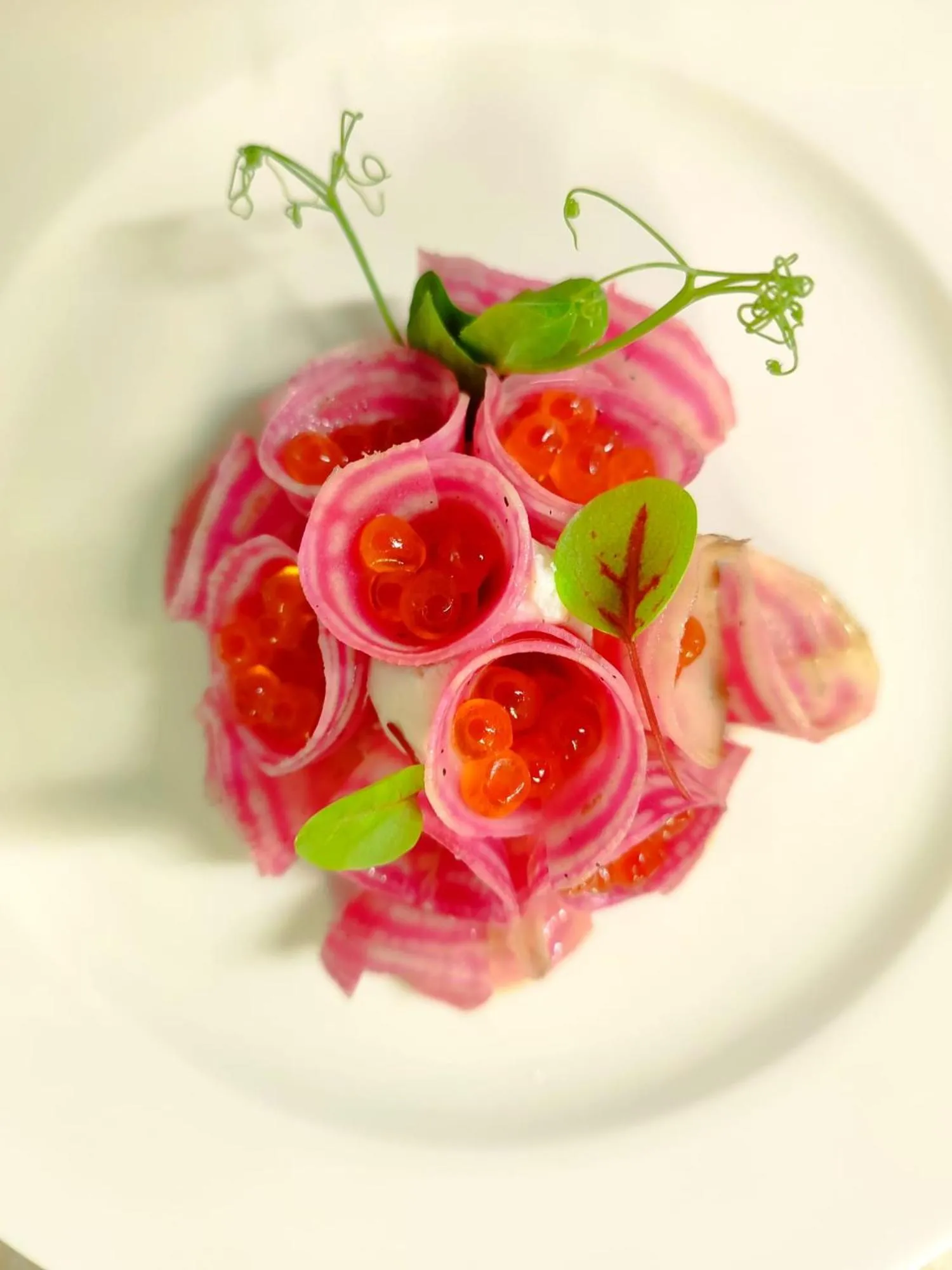 Hotel Europa & Concordia