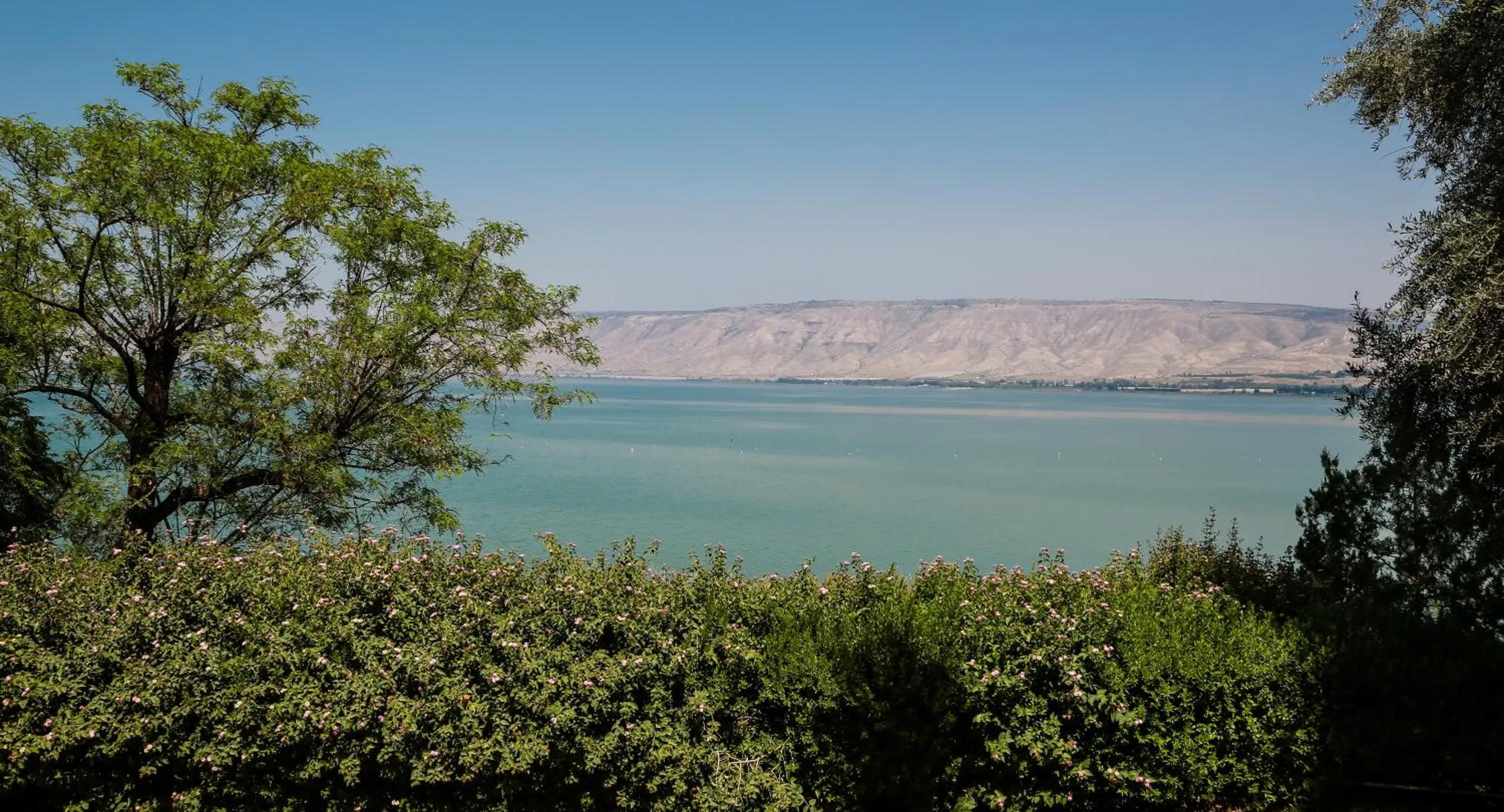 Other in Jacob Ohalo Kinneret