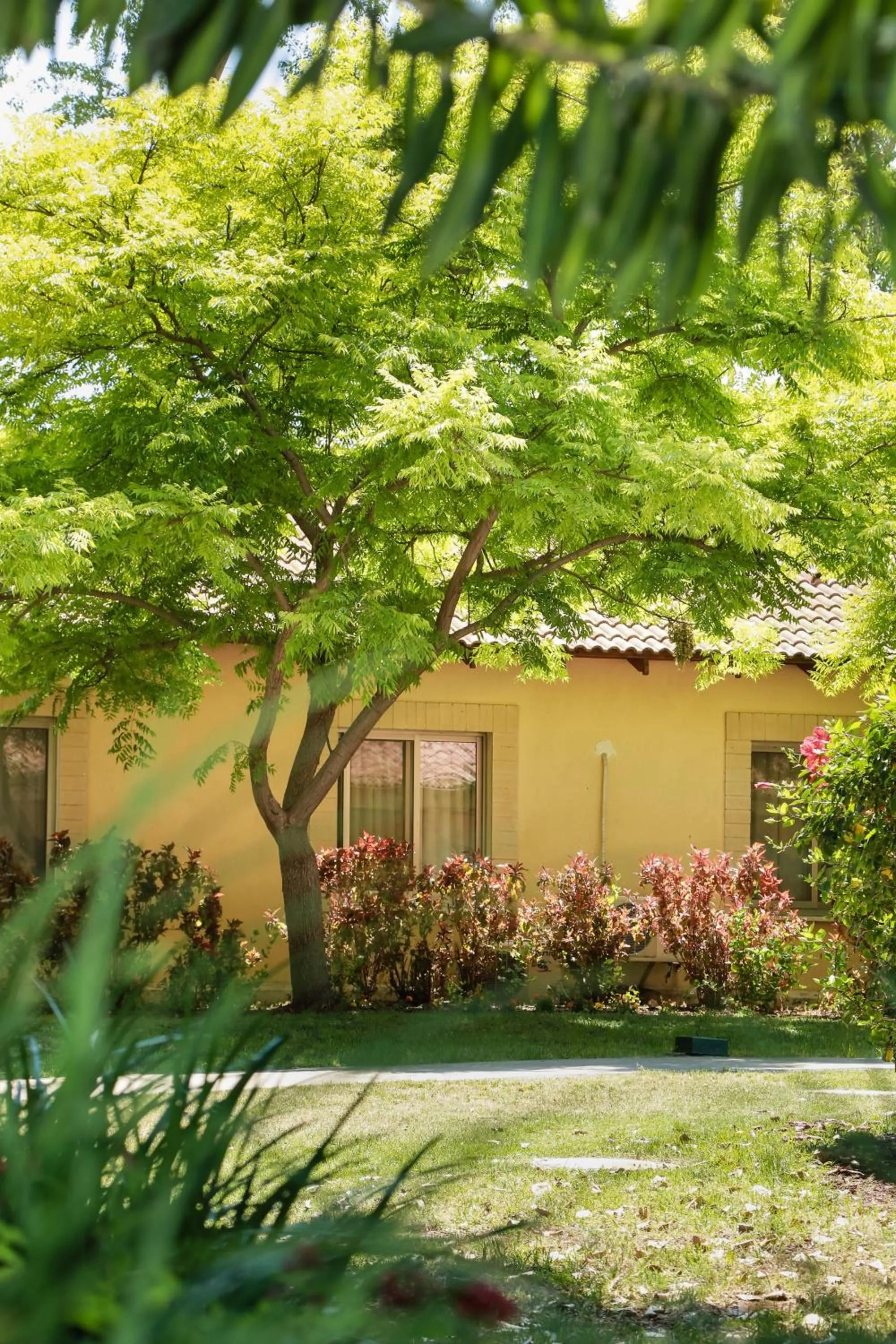 Other in Jacob Ohalo Kinneret