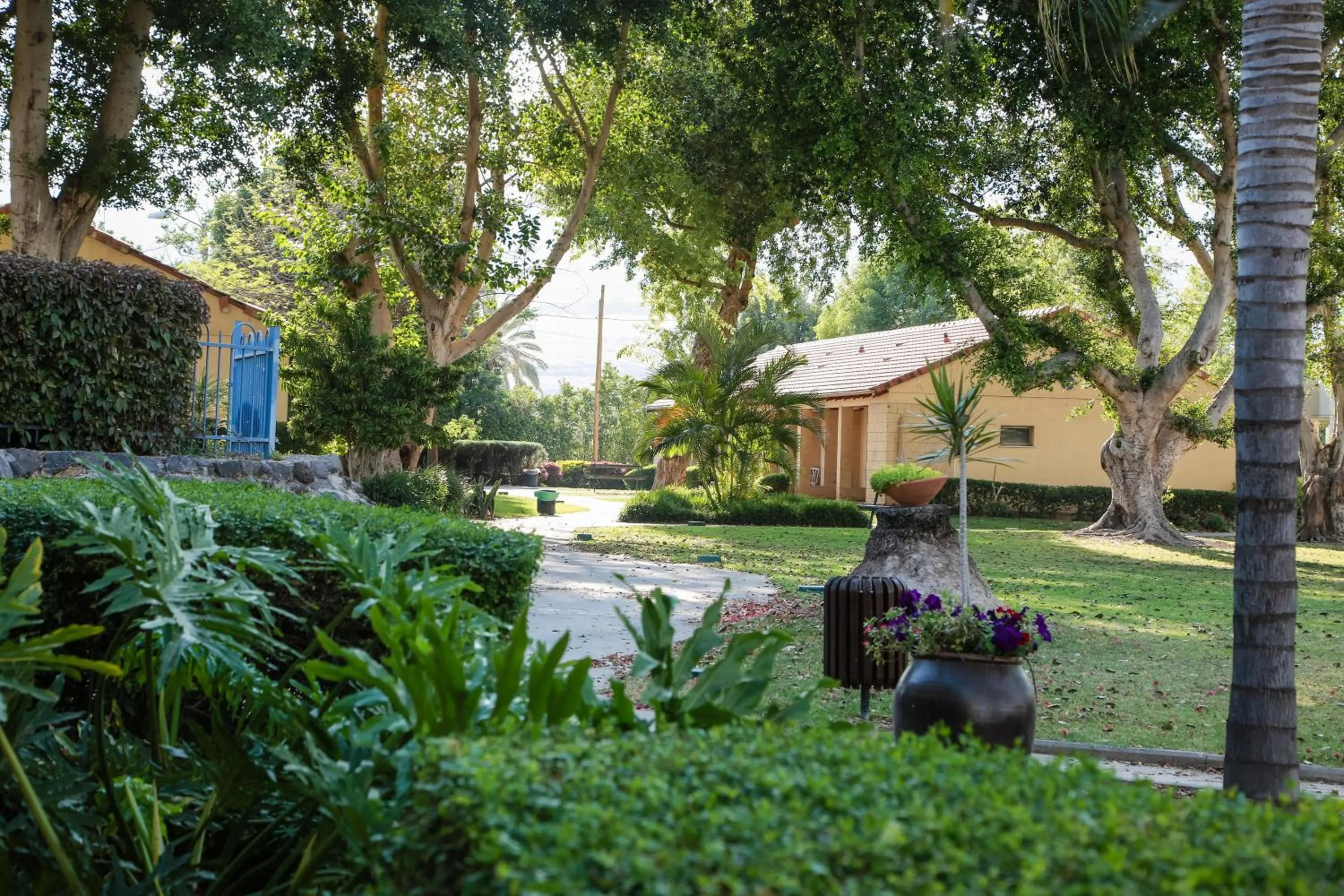 Other in Jacob Ohalo Kinneret