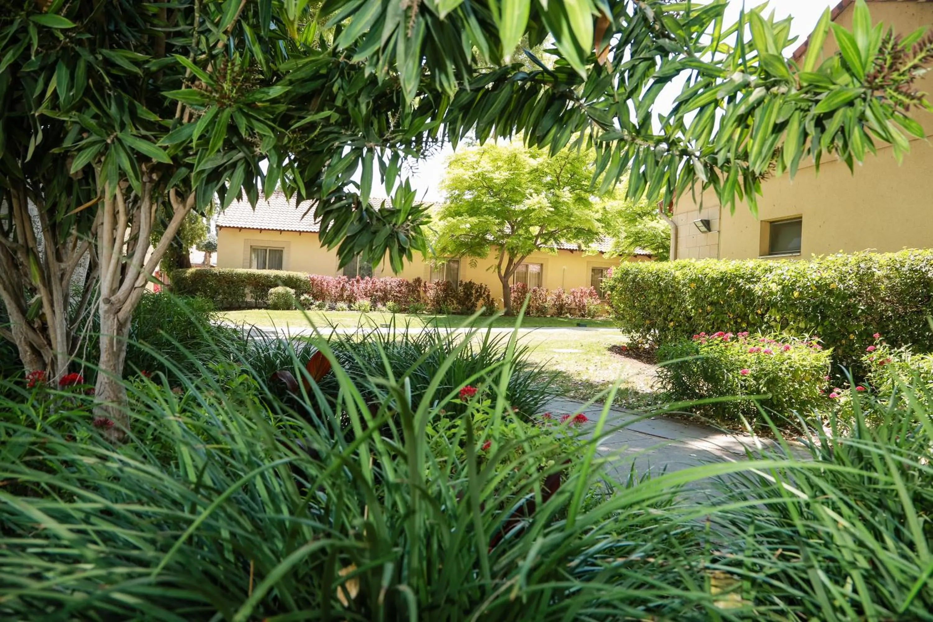 Garden in Jacob Ohalo Kinneret