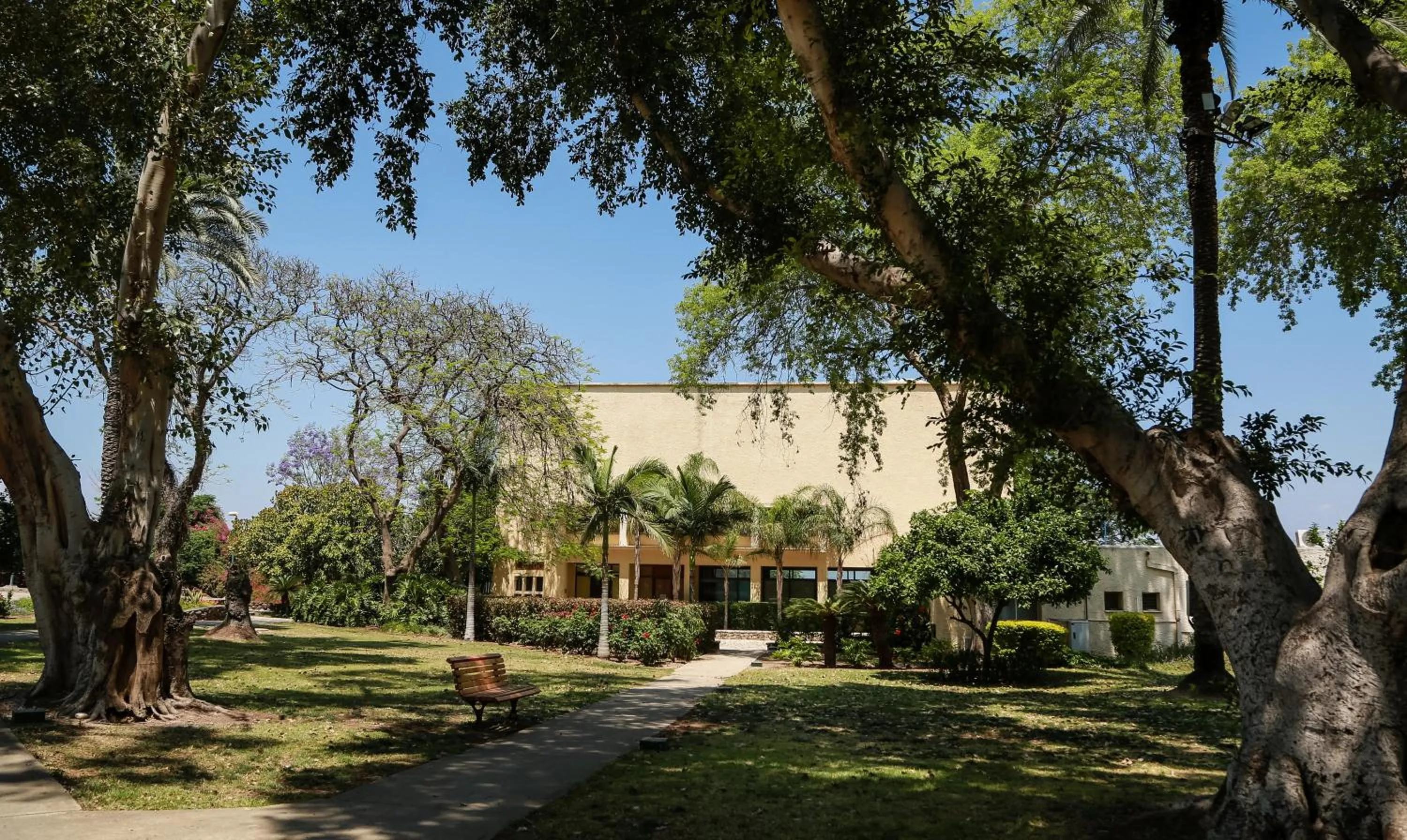 Off site in Jacob Ohalo Kinneret