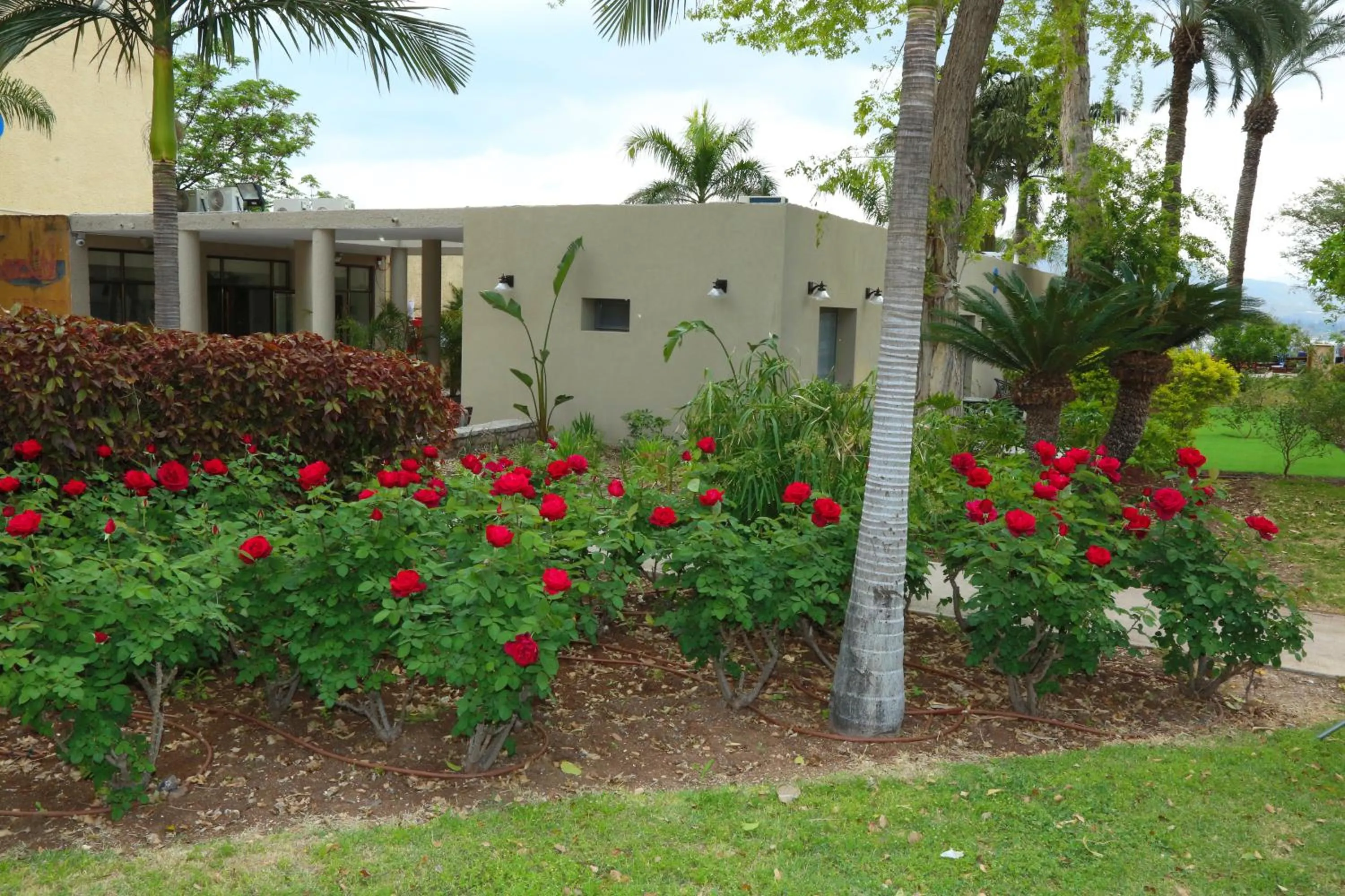 Garden in Jacob Ohalo Kinneret