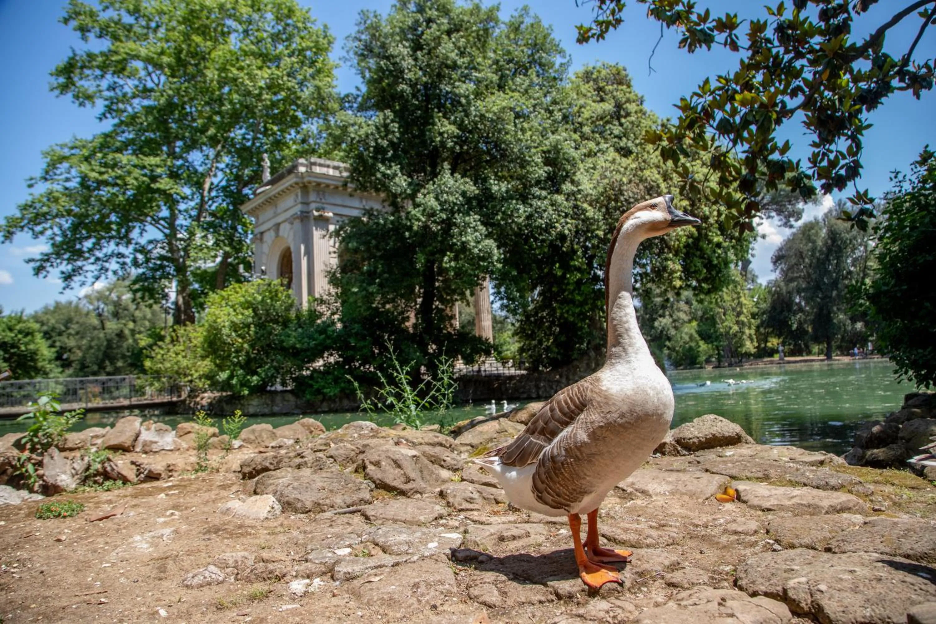 Neighbourhood in Stay Inn Rome Via Del Corso