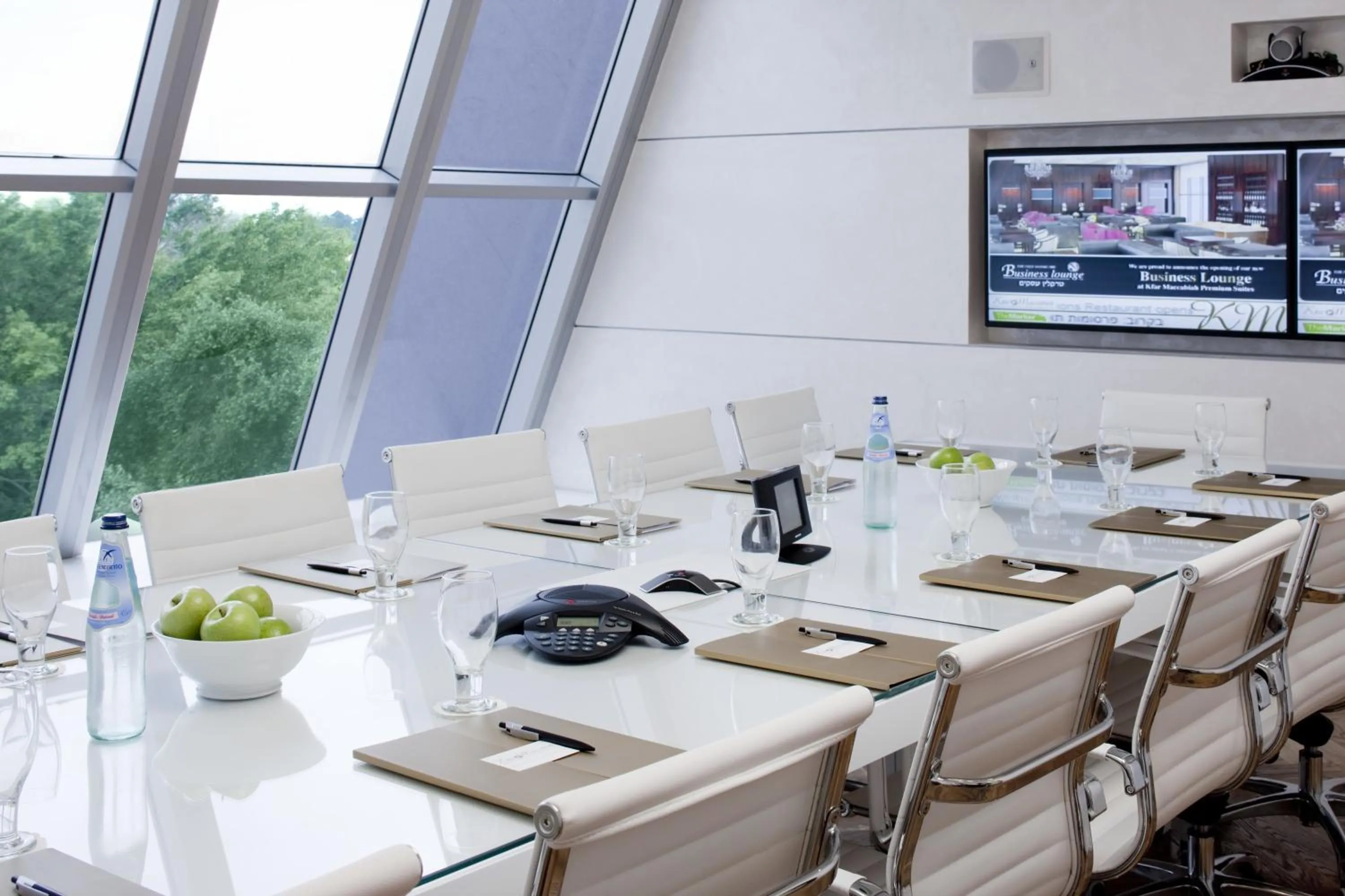 Business facilities in Kfar Maccabiah Business & Sport Hotel