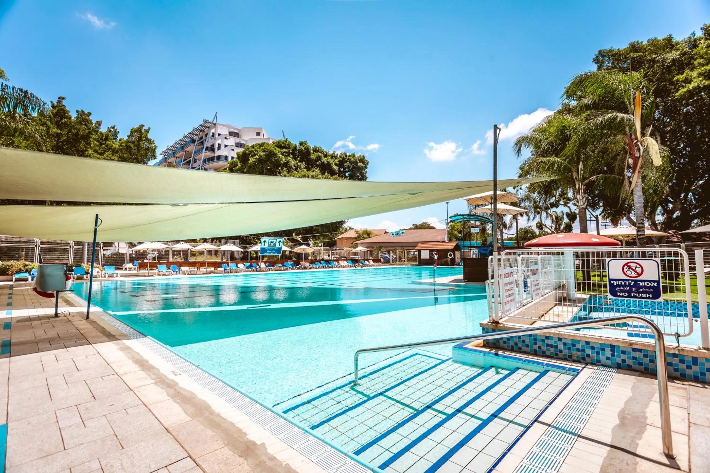 Swimming pool in Kfar Maccabiah Business & Sport Hotel