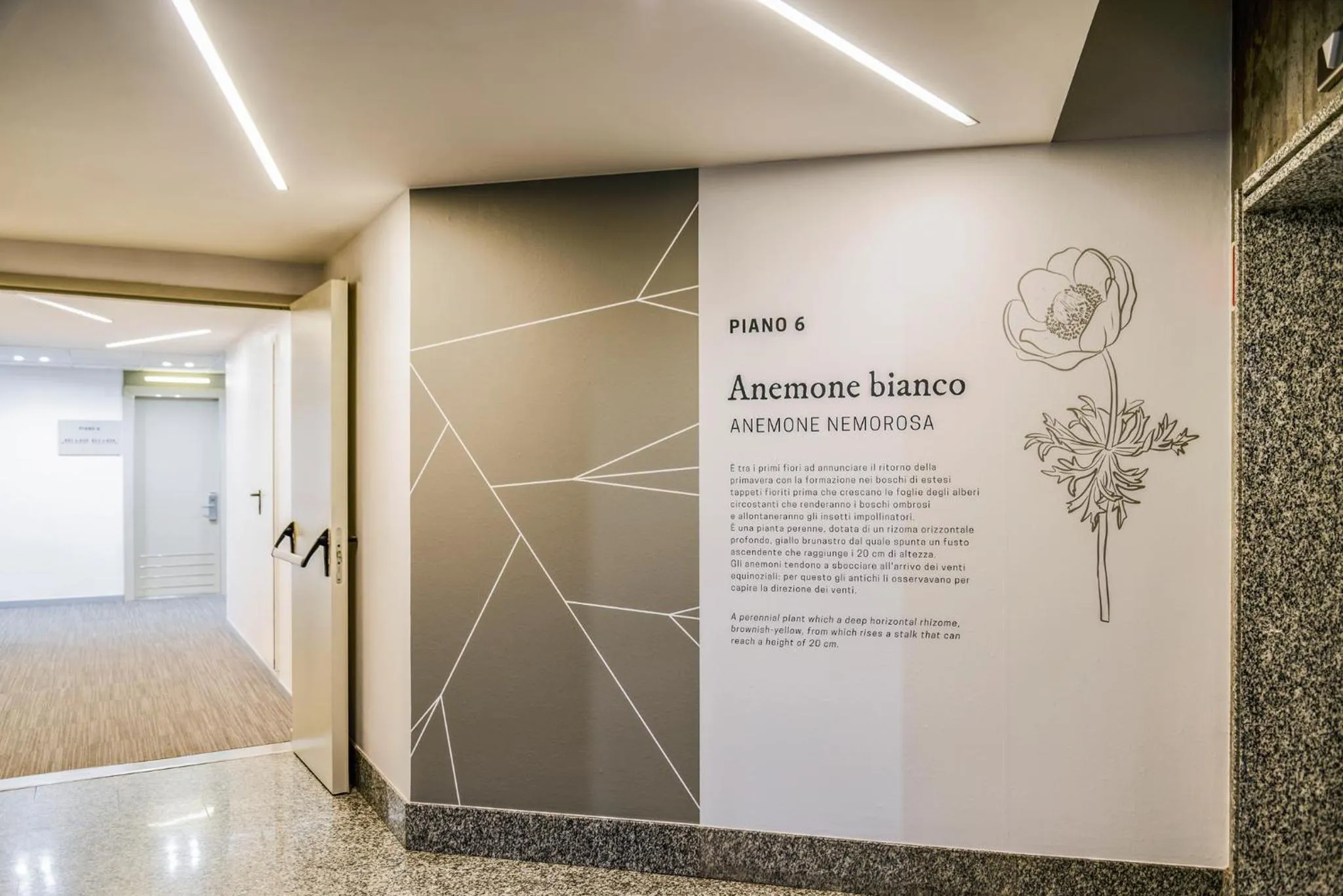 Decorative detail in Mercure Milano Agrate Brianza