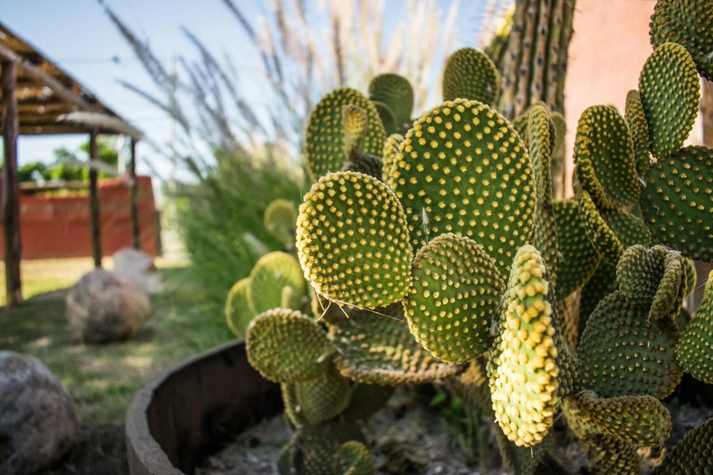 Off site in La Guadalupe Cabañas