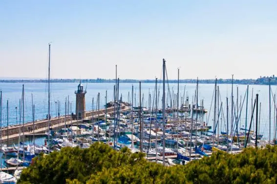 Area and facilities in Hotel Vittorio