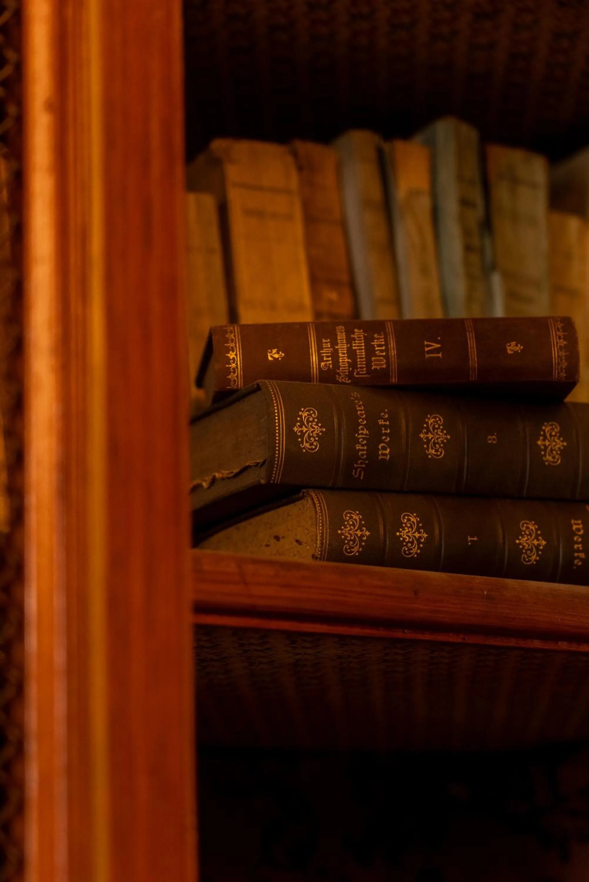 Library in Hotel Villa Borghi