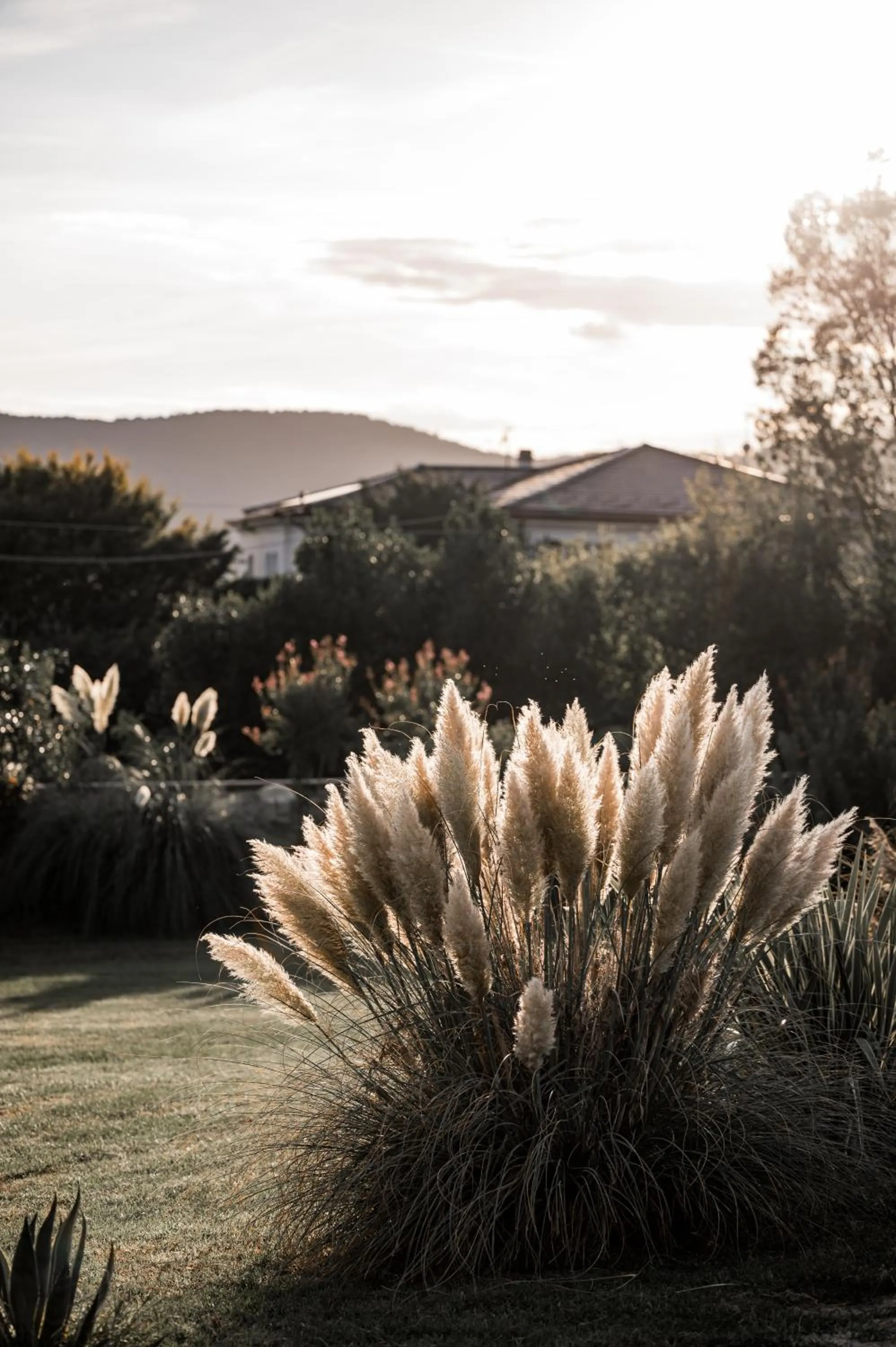 Garden in Hotel Villa Borghi