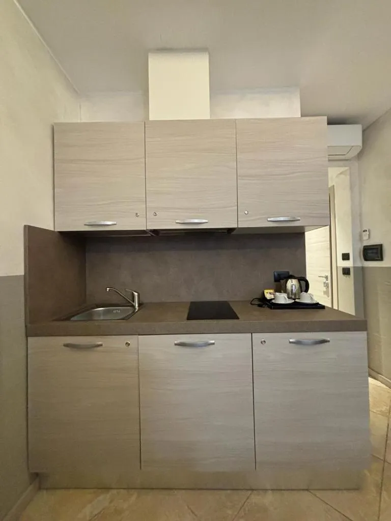 Kitchen or kitchenette in Hotel Plaza