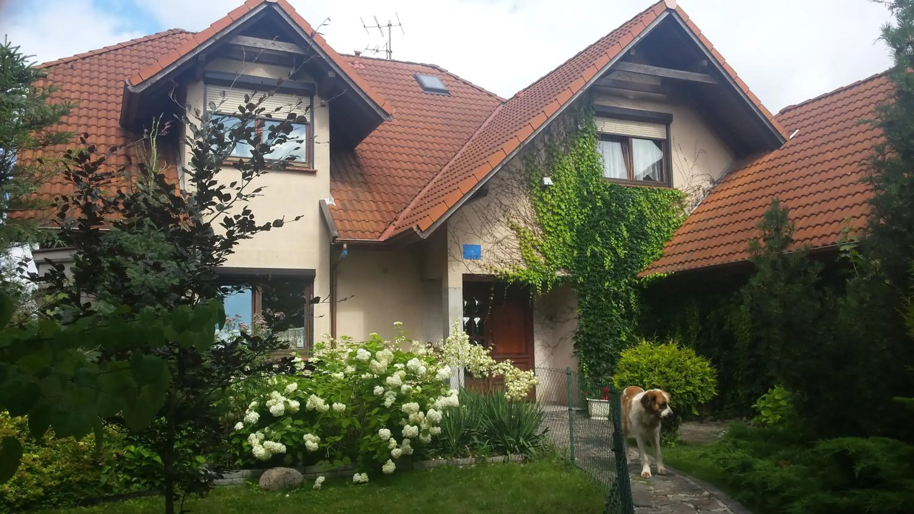 Apartament Leśna Apartament Leśna