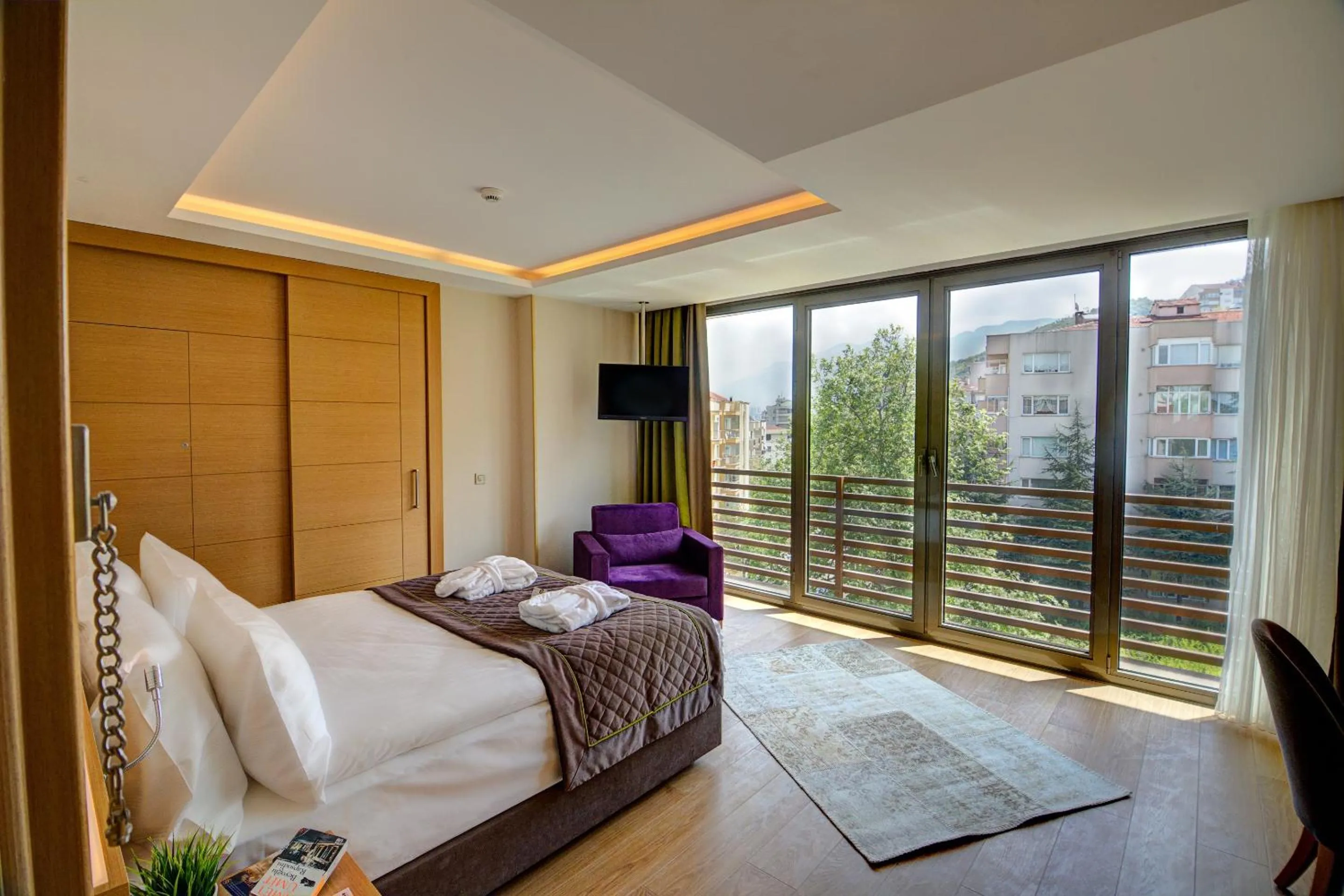 TV and multimedia in Ramada By Wyndham Bursa Cekirge Thermal & Spa